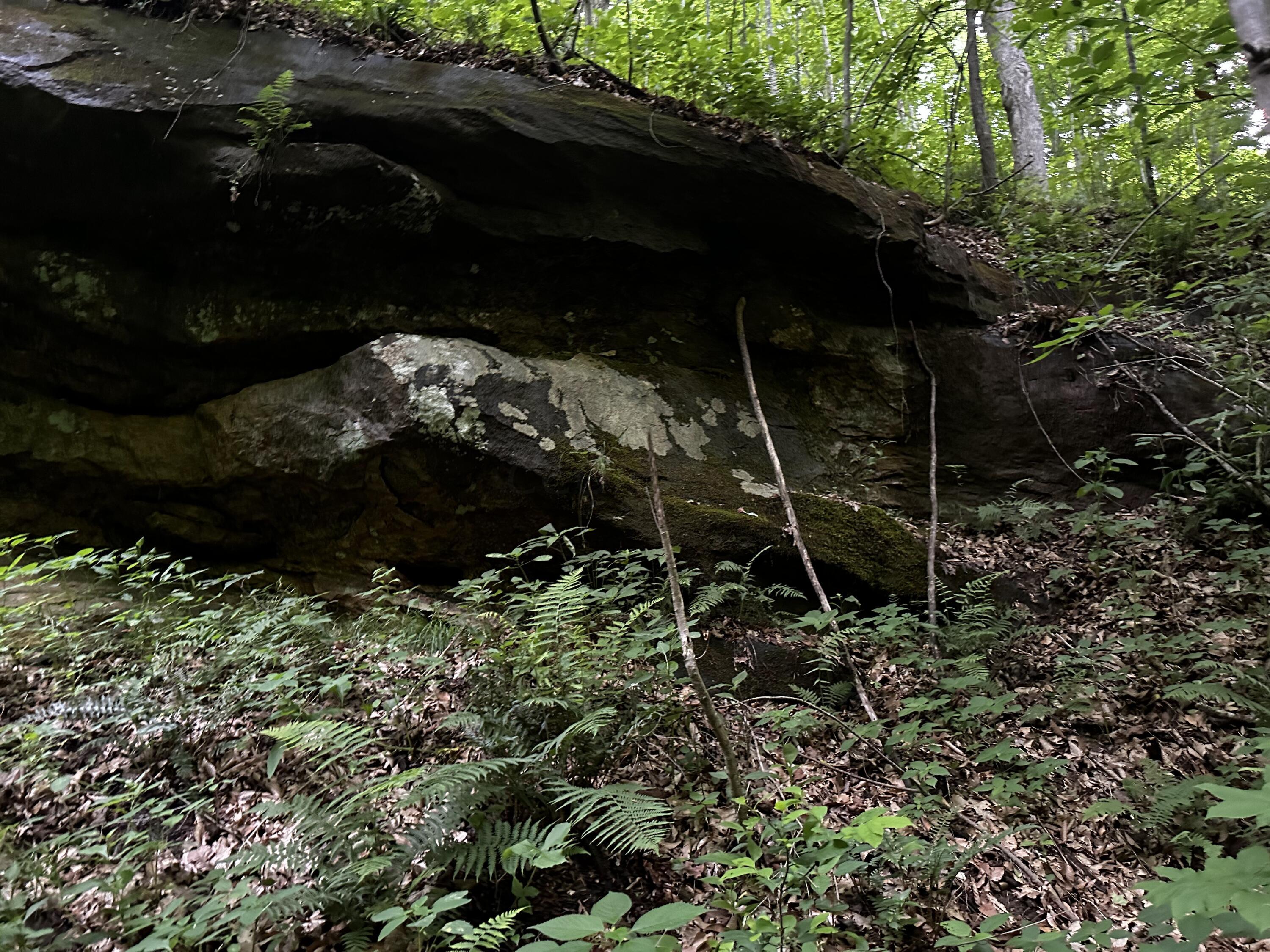 Photo 46 of 81 of 1773 Hull Road (Barns and Caves on Wayne) land