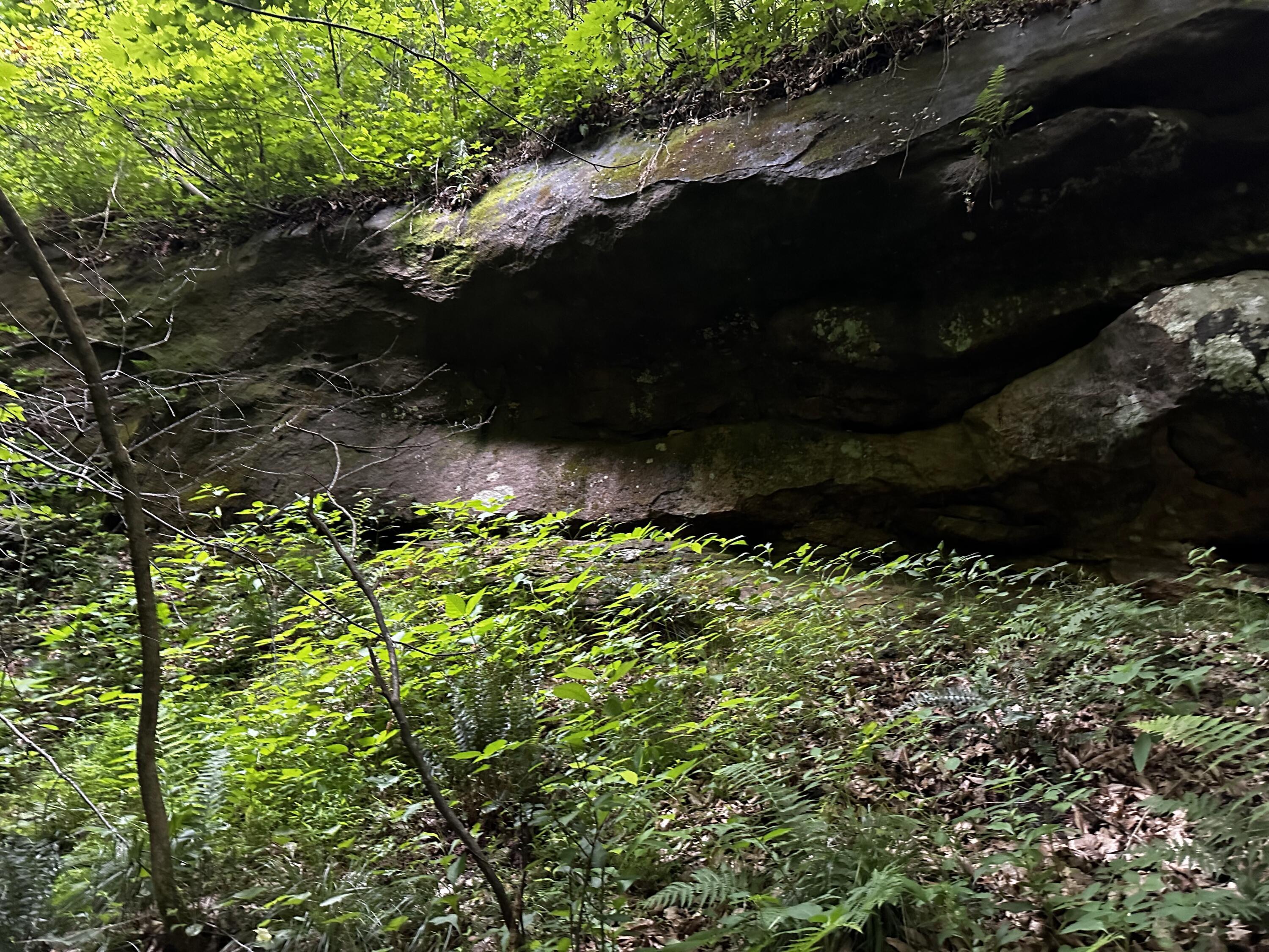 Photo 47 of 81 of 1773 Hull Road (Barns and Caves on Wayne) land