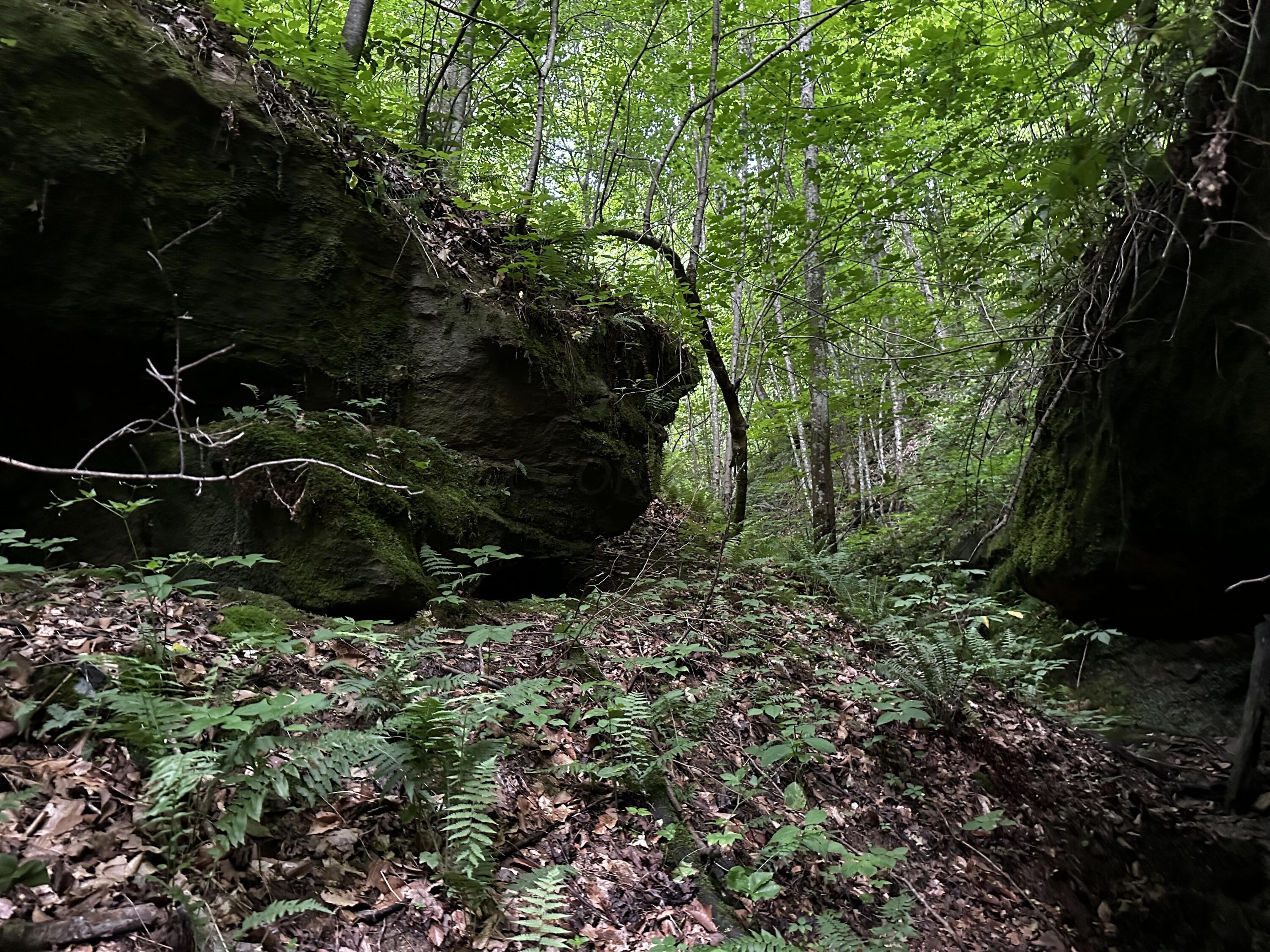 Photo 50 of 81 of 1773 Hull Road (Barns and Caves on Wayne) land