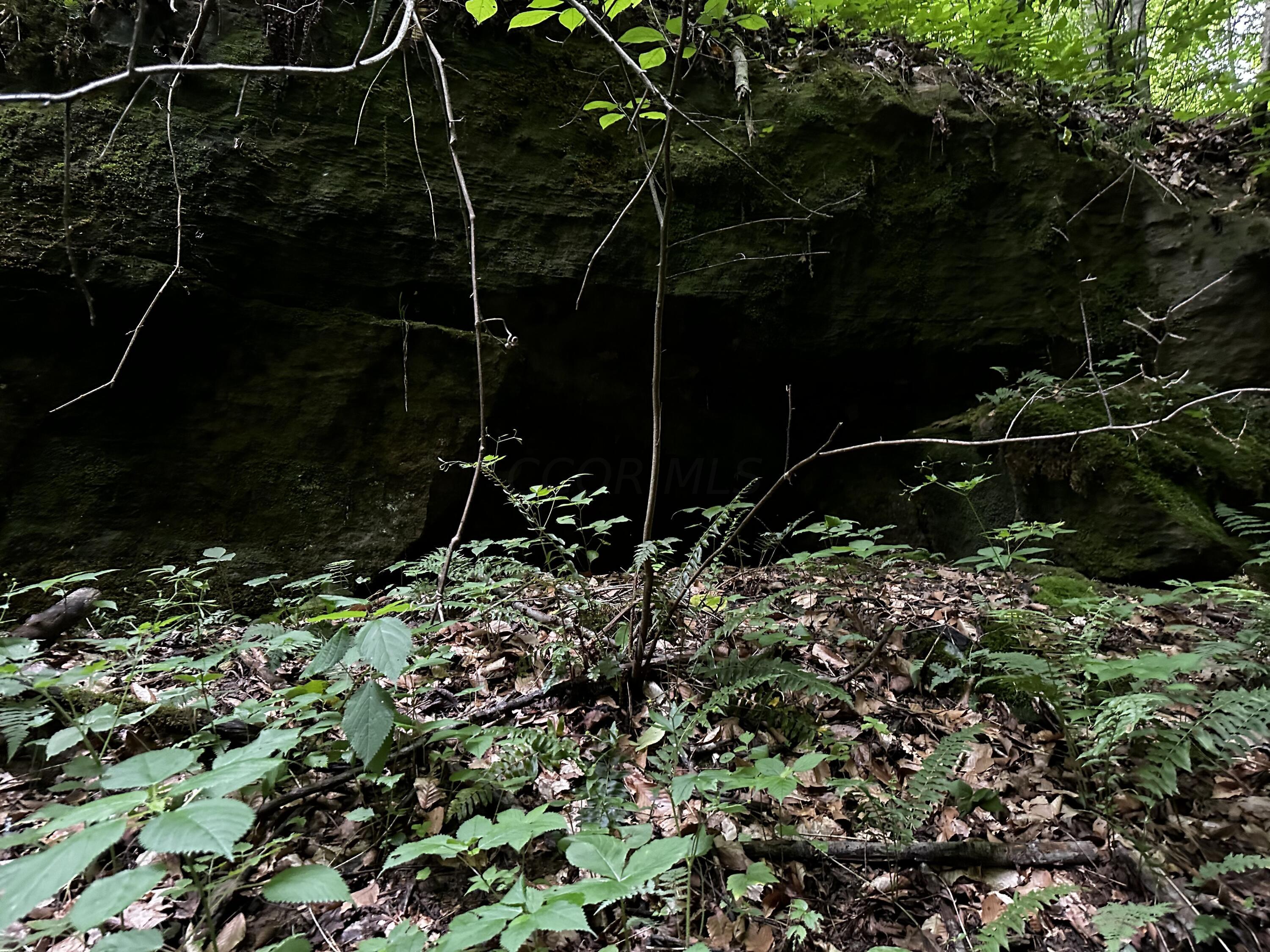 Photo 51 of 81 of 1773 Hull Road (Barns and Caves on Wayne) land