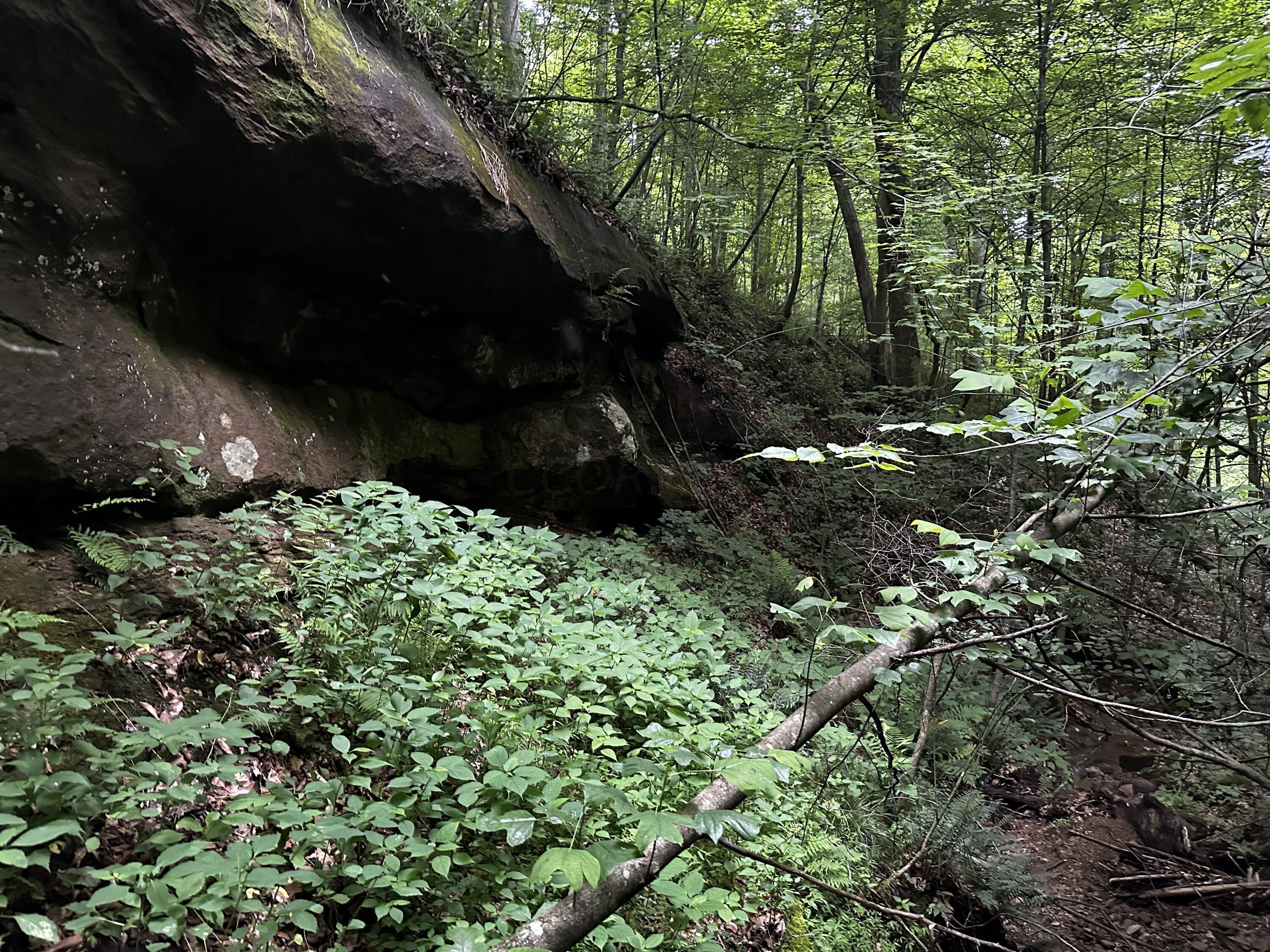 Photo 52 of 81 of 1773 Hull Road (Barns and Caves on Wayne) land