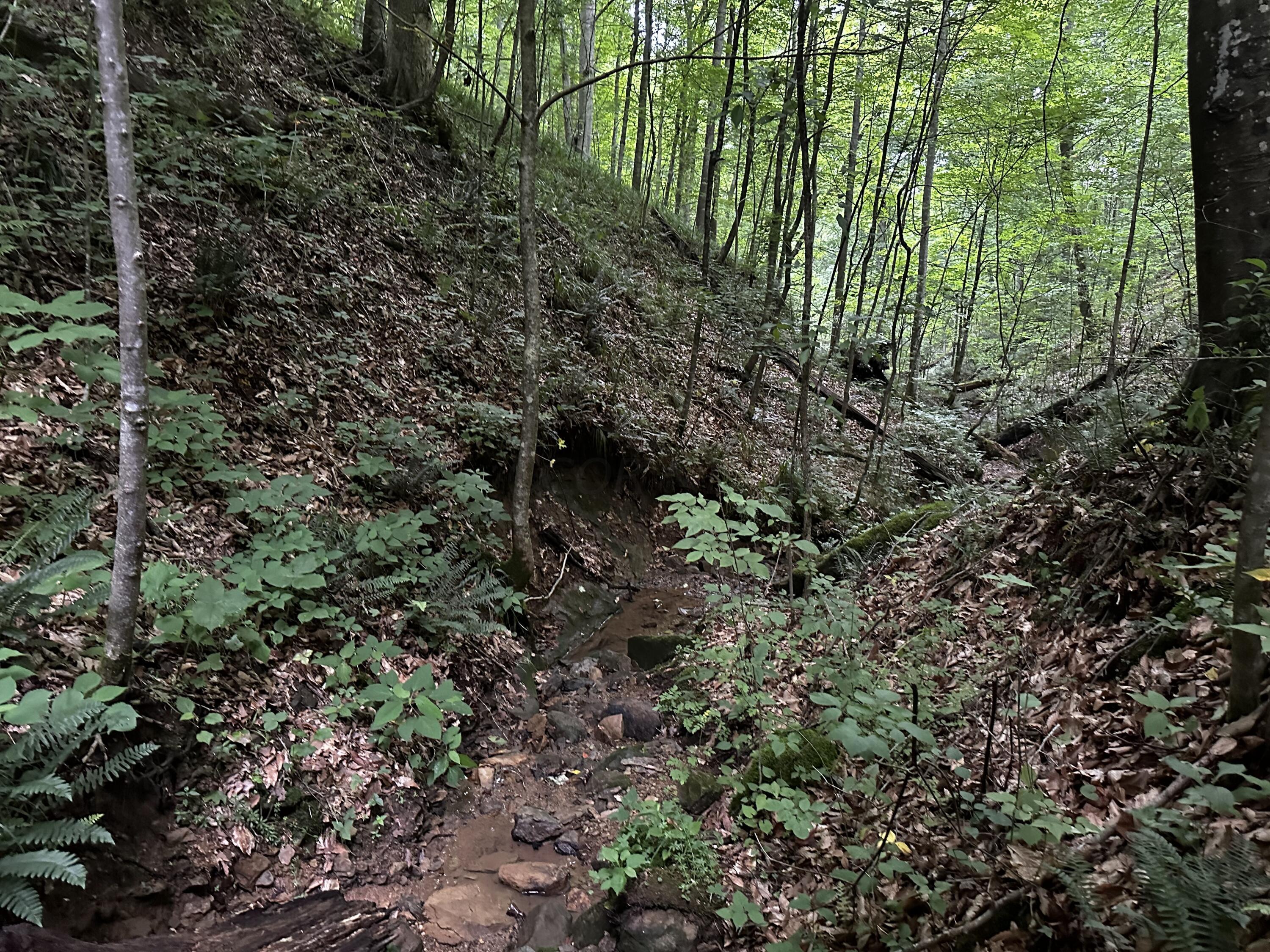 Photo 53 of 81 of 1773 Hull Road (Barns and Caves on Wayne) land