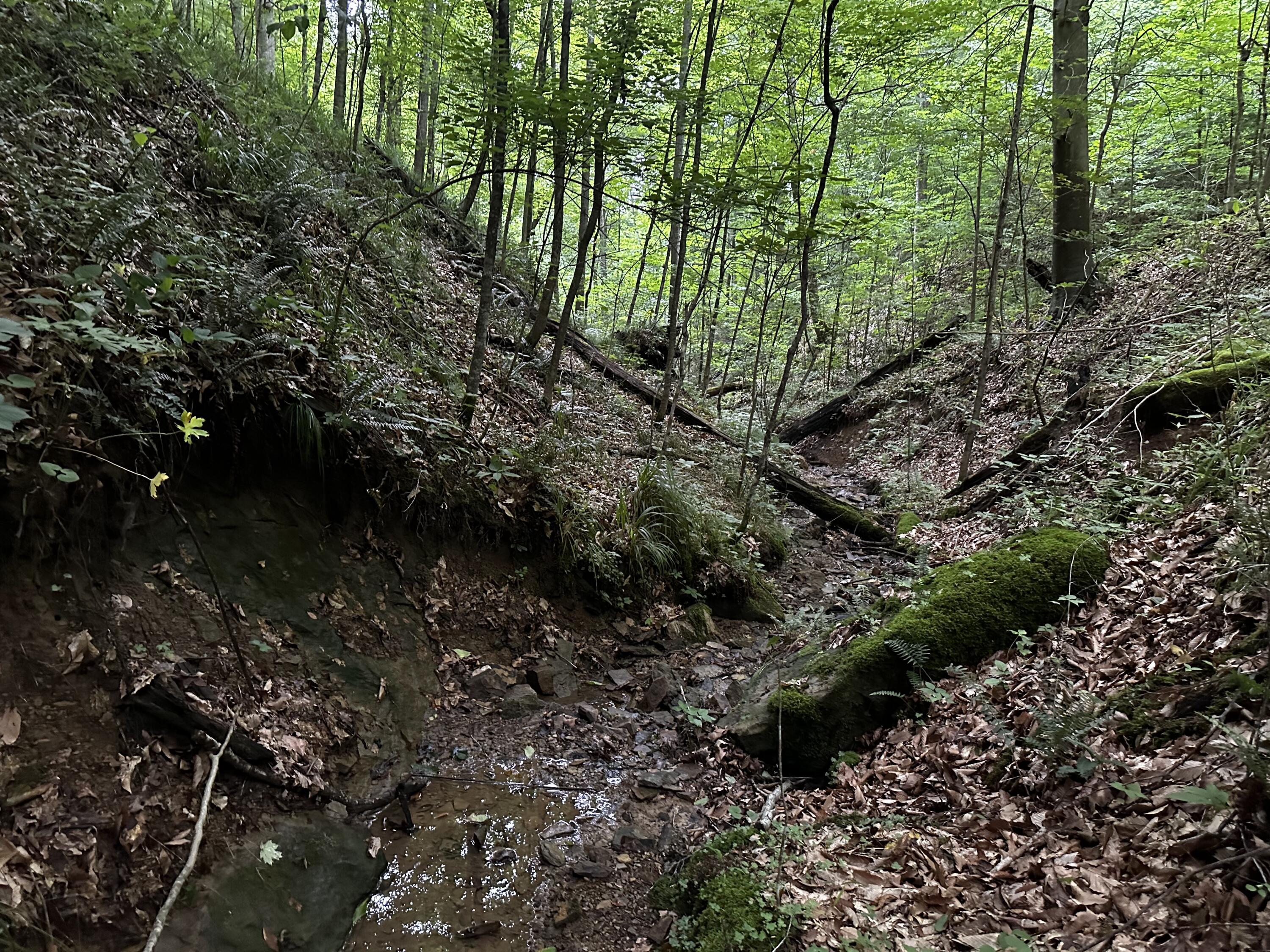 Photo 54 of 81 of 1773 Hull Road (Barns and Caves on Wayne) land