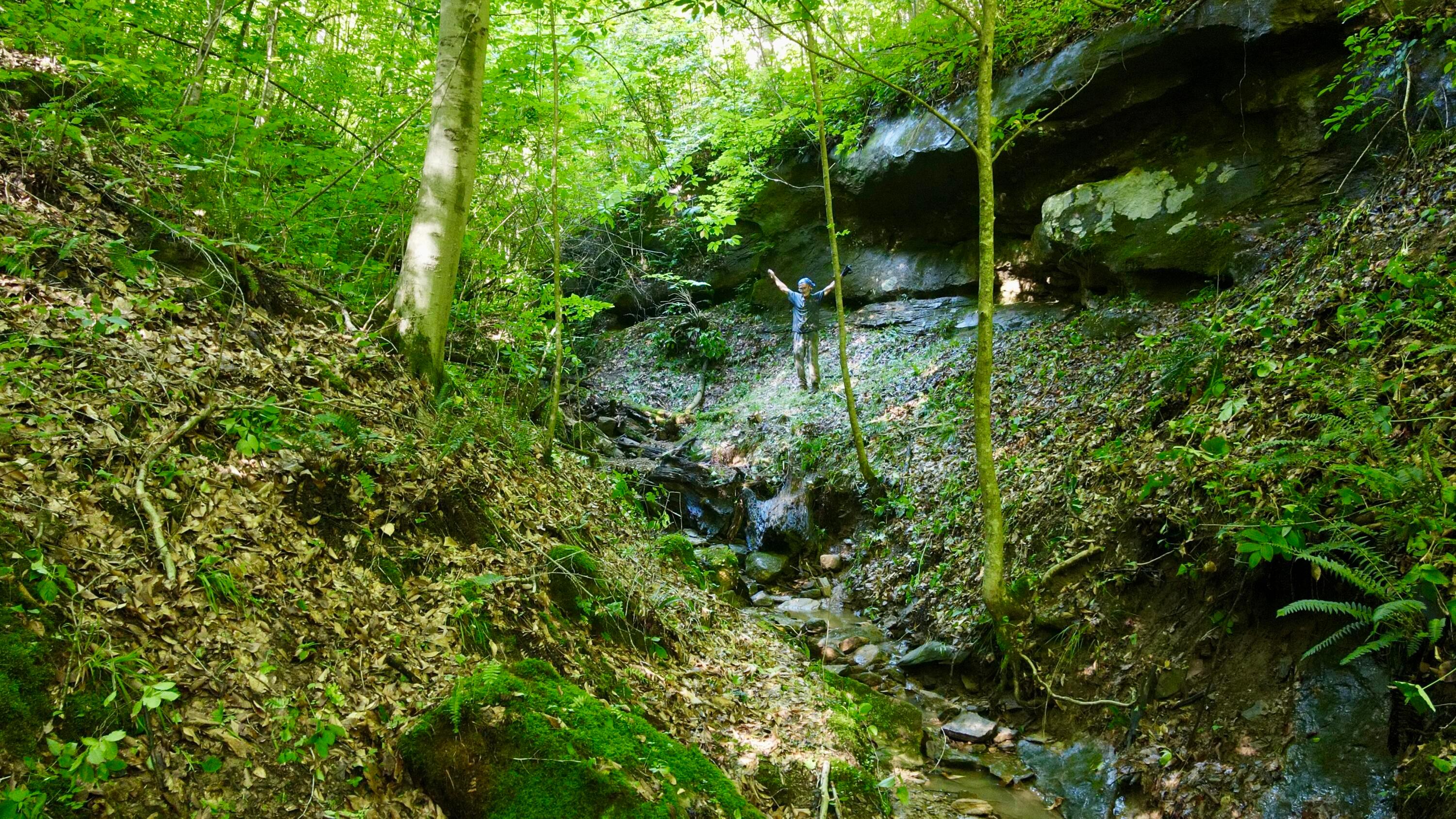 Photo 58 of 81 of 1773 Hull Road (Barns and Caves on Wayne) land