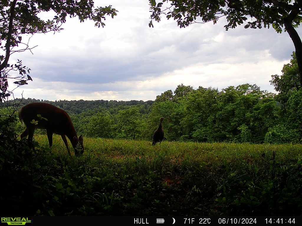 Photo 6 of 81 of 1773 Hull Road (Barns and Caves on Wayne) land