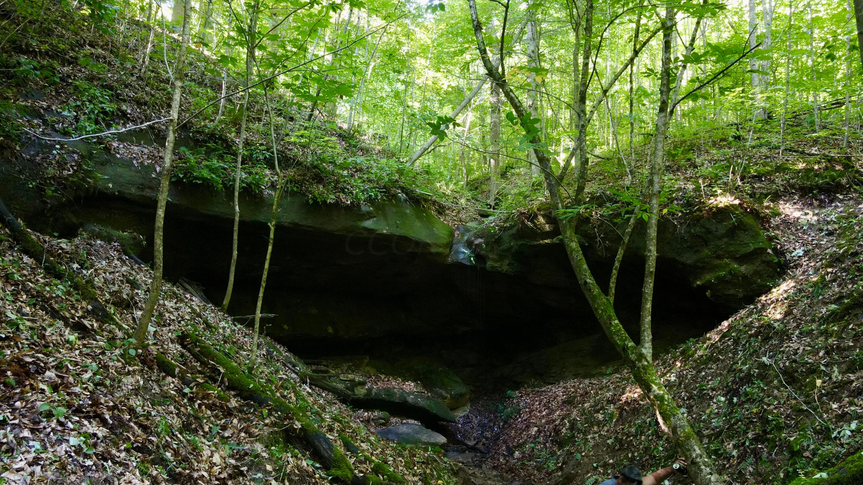 Photo 61 of 81 of 1773 Hull Road (Barns and Caves on Wayne) land