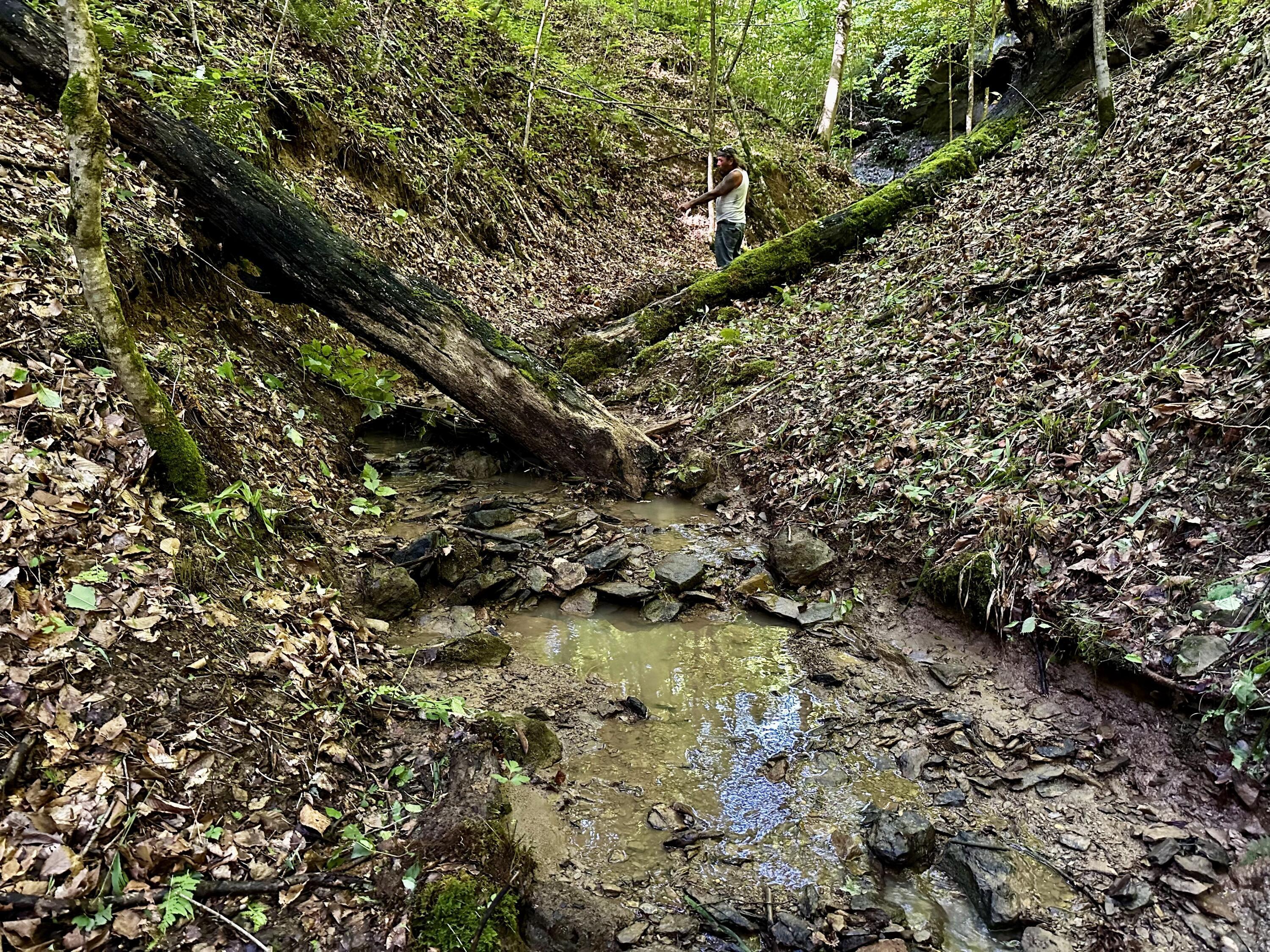 Photo 62 of 81 of 1773 Hull Road (Barns and Caves on Wayne) land