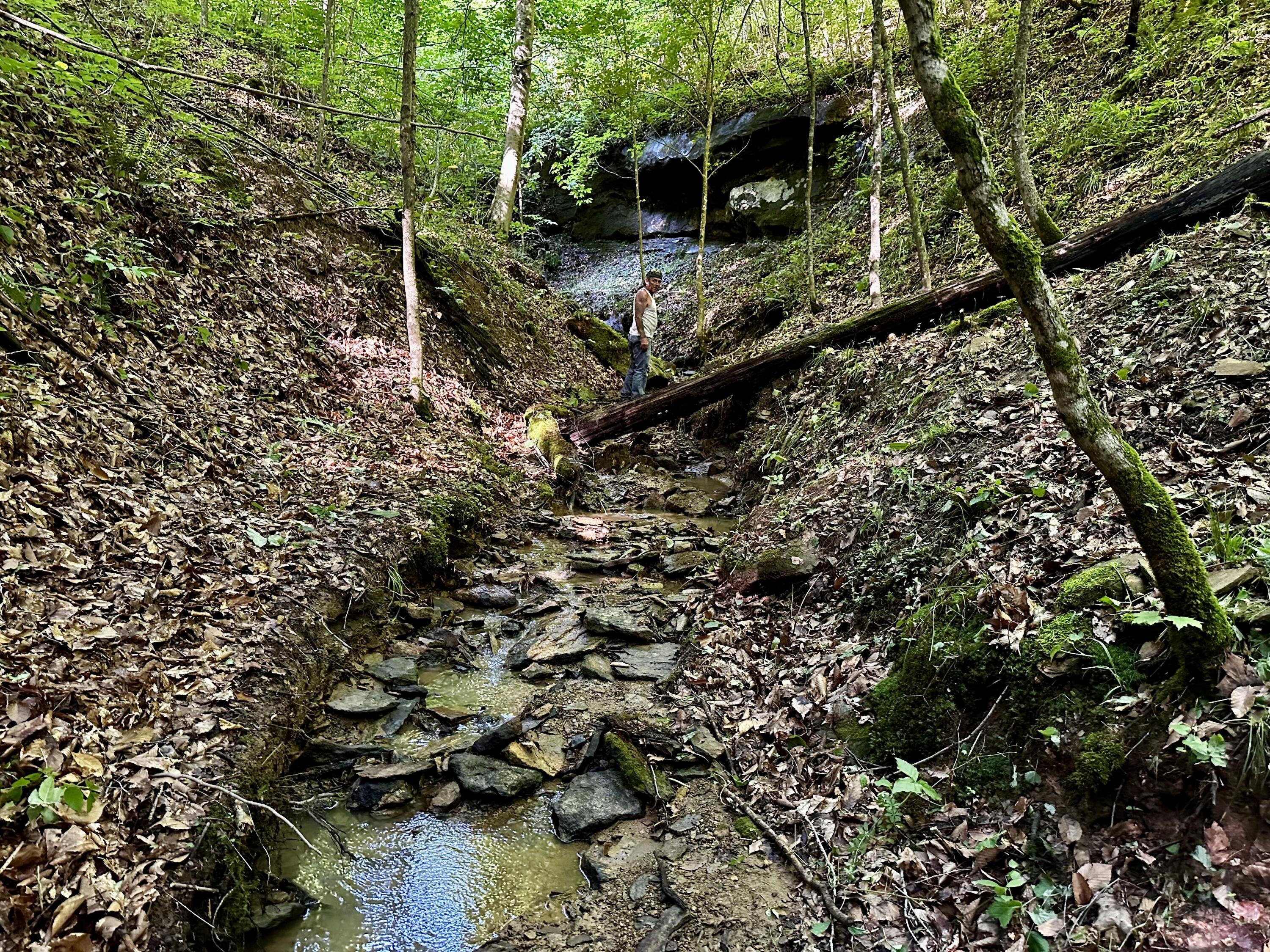 Photo 63 of 81 of 1773 Hull Road (Barns and Caves on Wayne) land