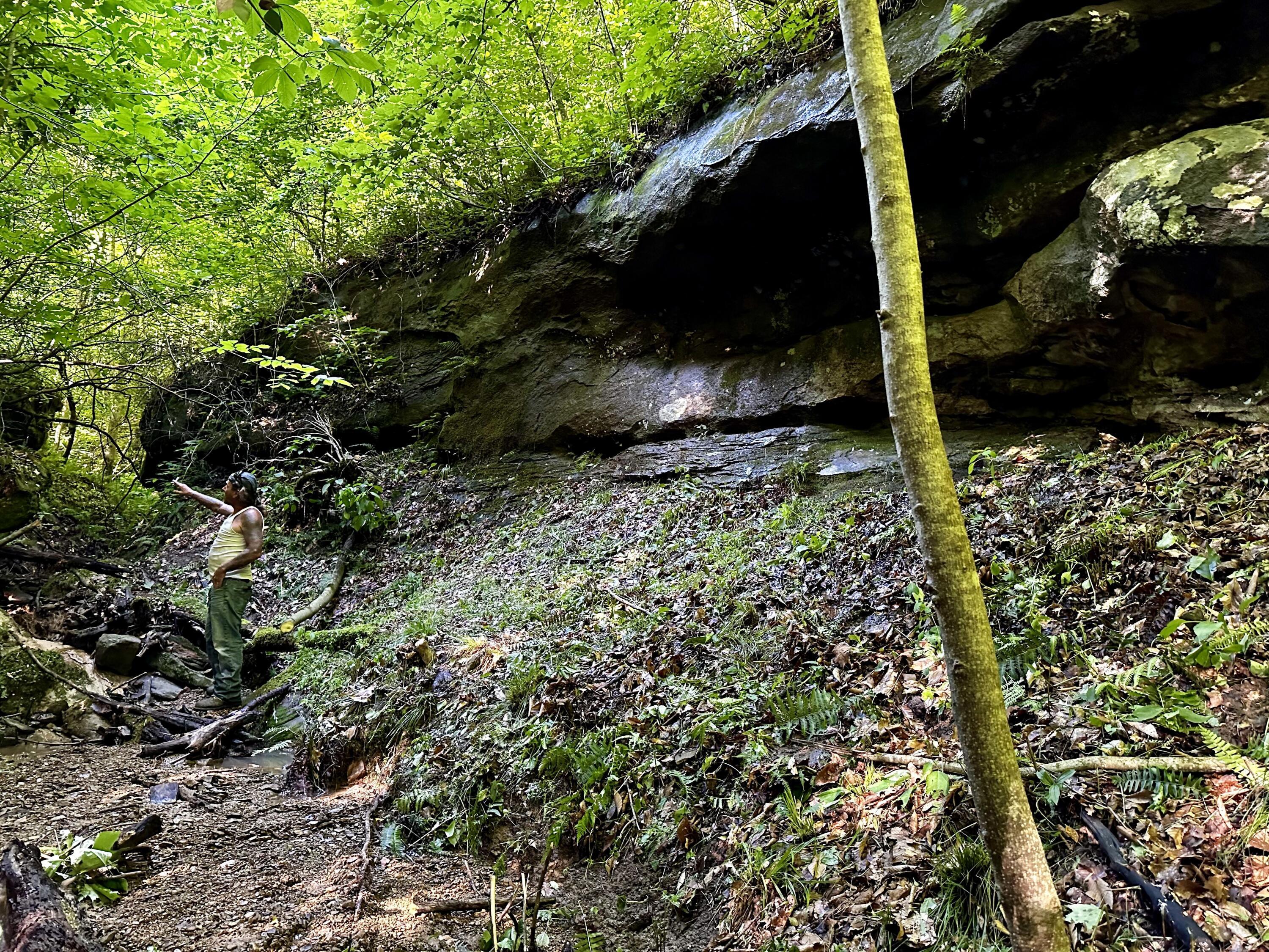 Photo 66 of 81 of 1773 Hull Road (Barns and Caves on Wayne) land