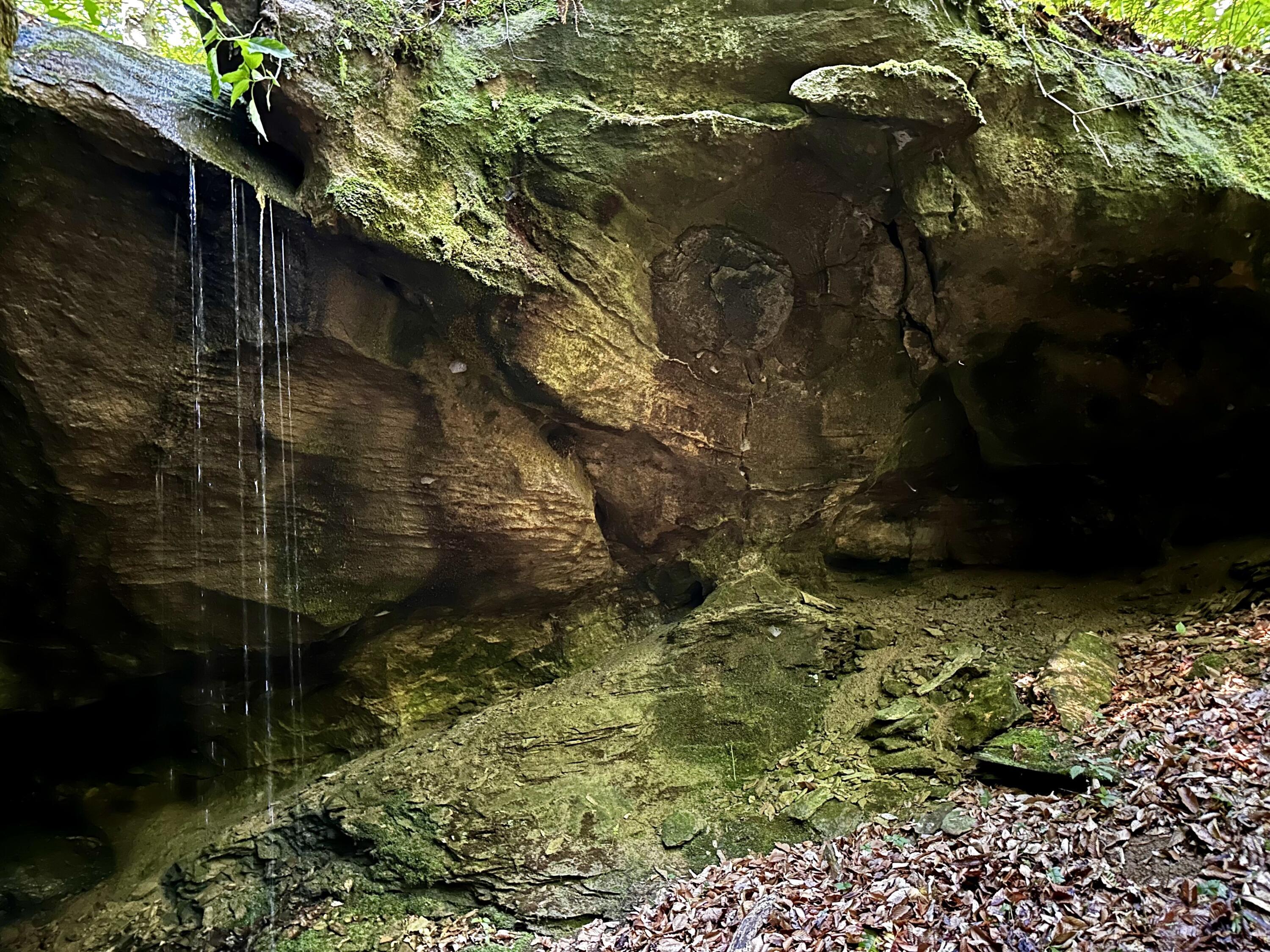 Photo 74 of 81 of 1773 Hull Road (Barns and Caves on Wayne) land