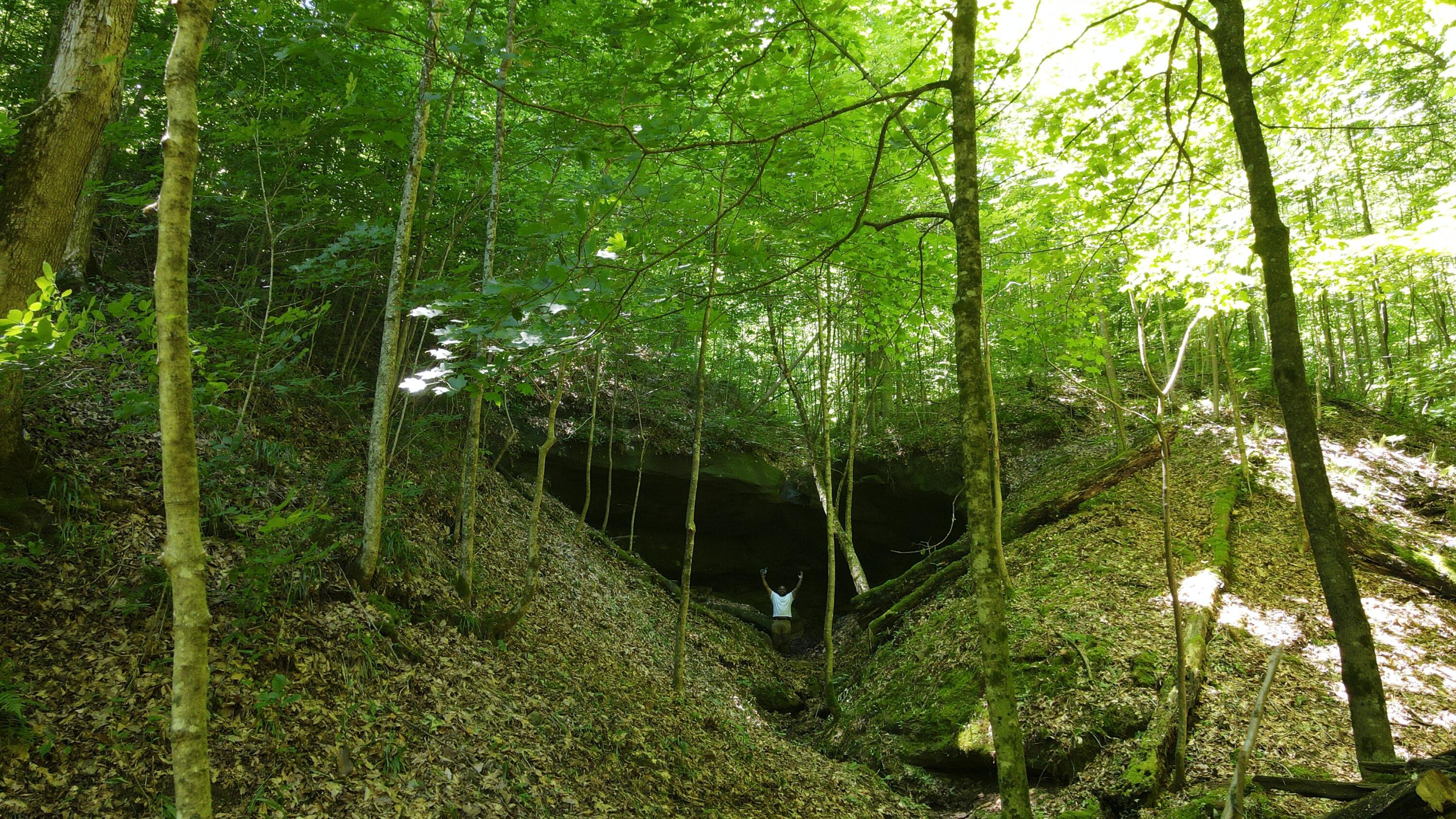 Photo 76 of 81 of 1773 Hull Road (Barns and Caves on Wayne) land