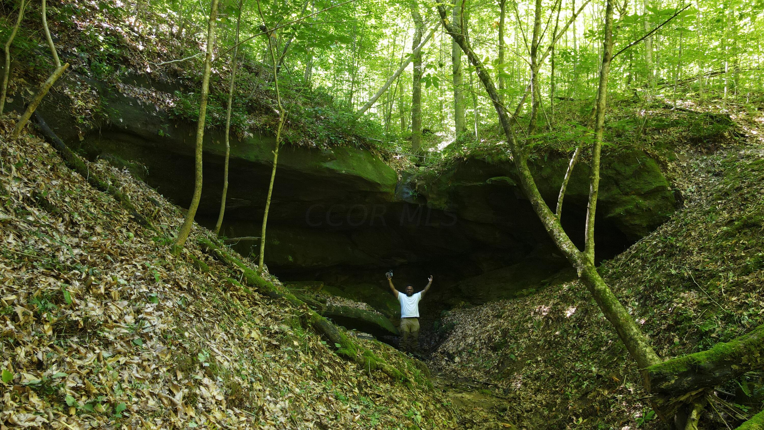 Photo 78 of 81 of 1773 Hull Road (Barns and Caves on Wayne) land