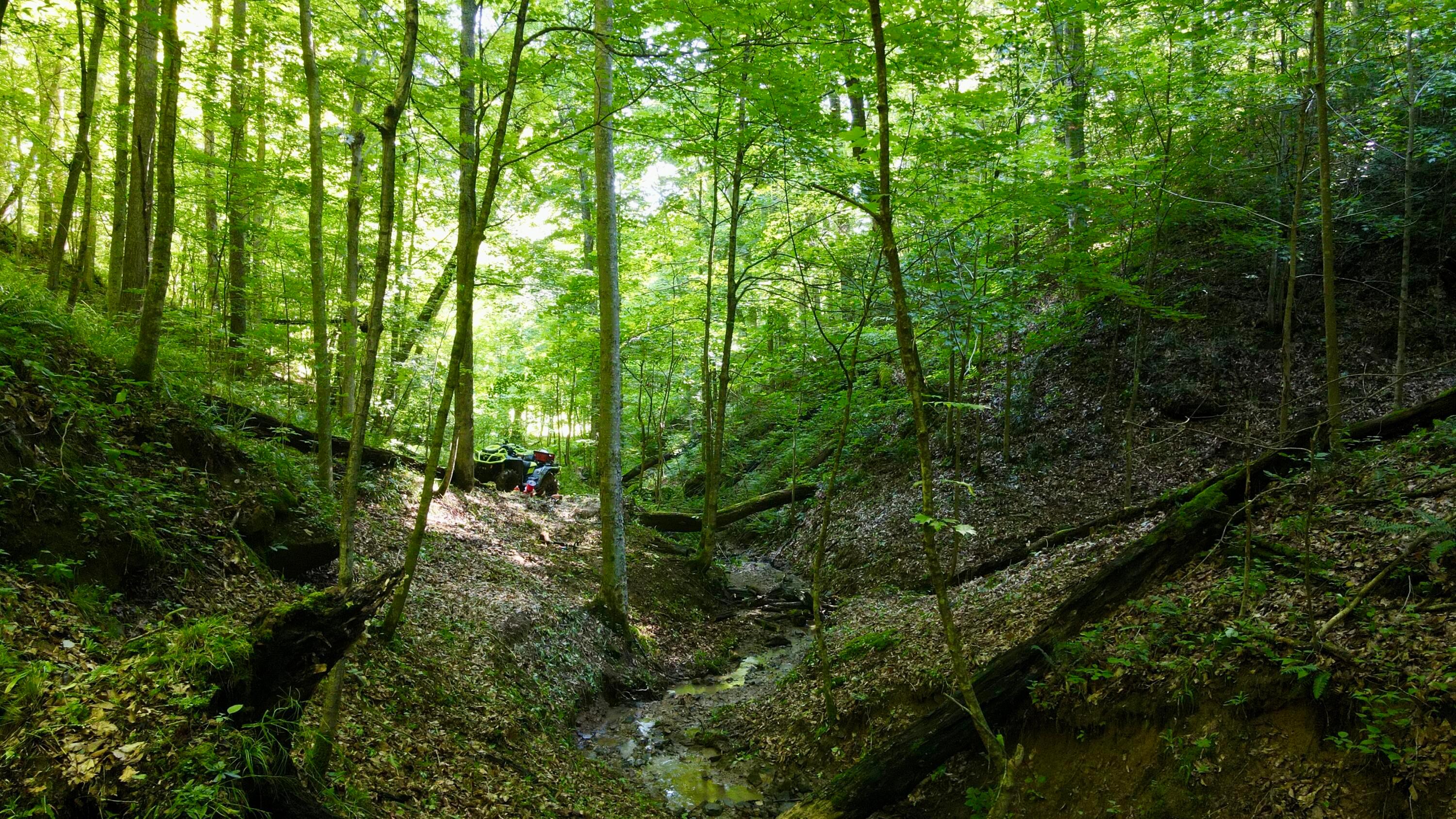 Photo 8 of 81 of 1773 Hull Road (Barns and Caves on Wayne) land