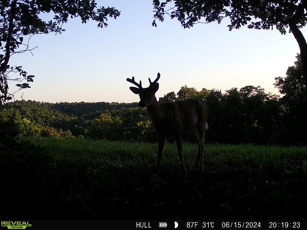 Photo 9 of 81 of 1773 Hull Road (Barns and Caves on Wayne) land