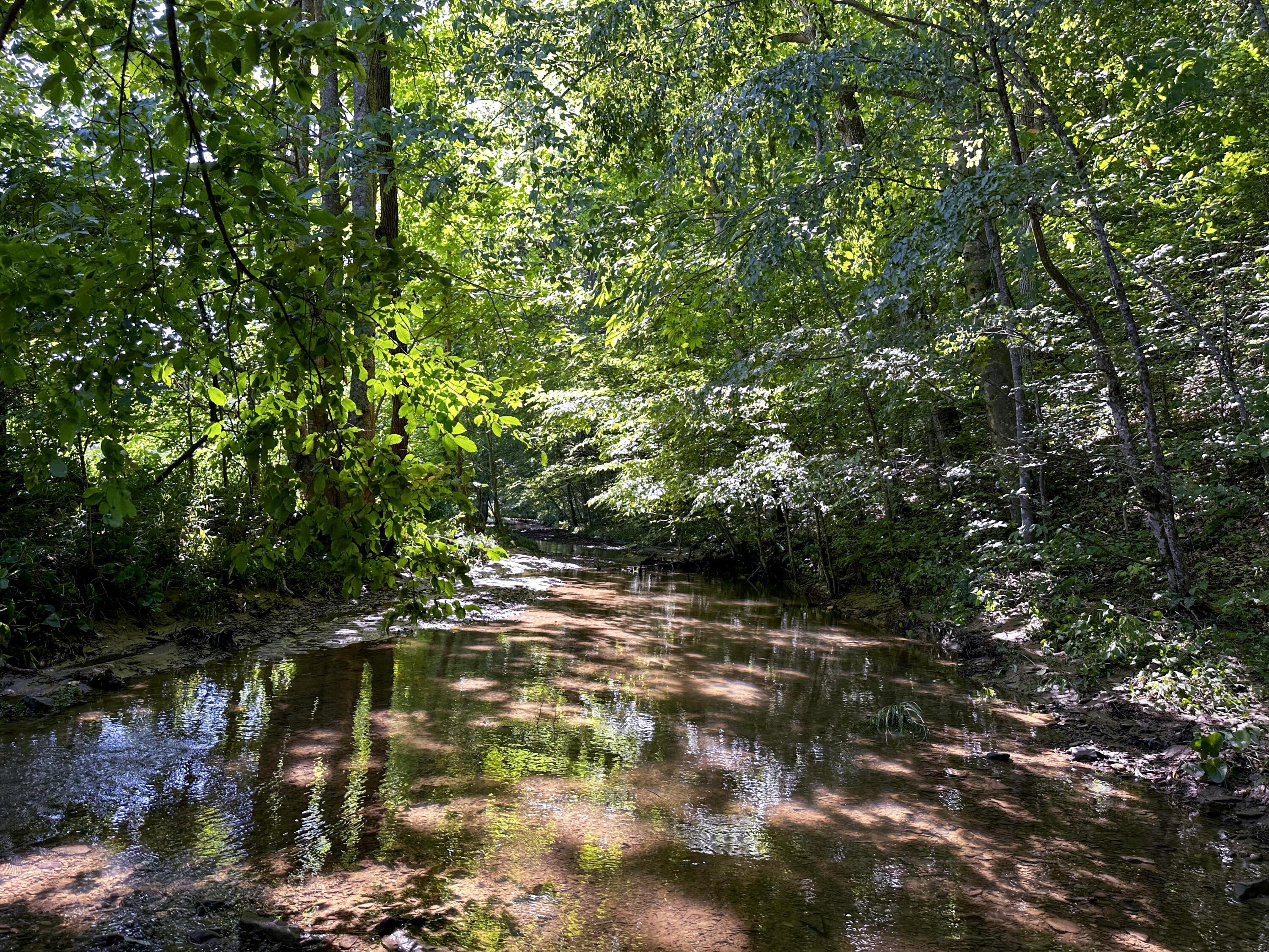 Photo 1 of 45 of 1725 Hull Road (Tract 4 Woods Wayne Forest) land