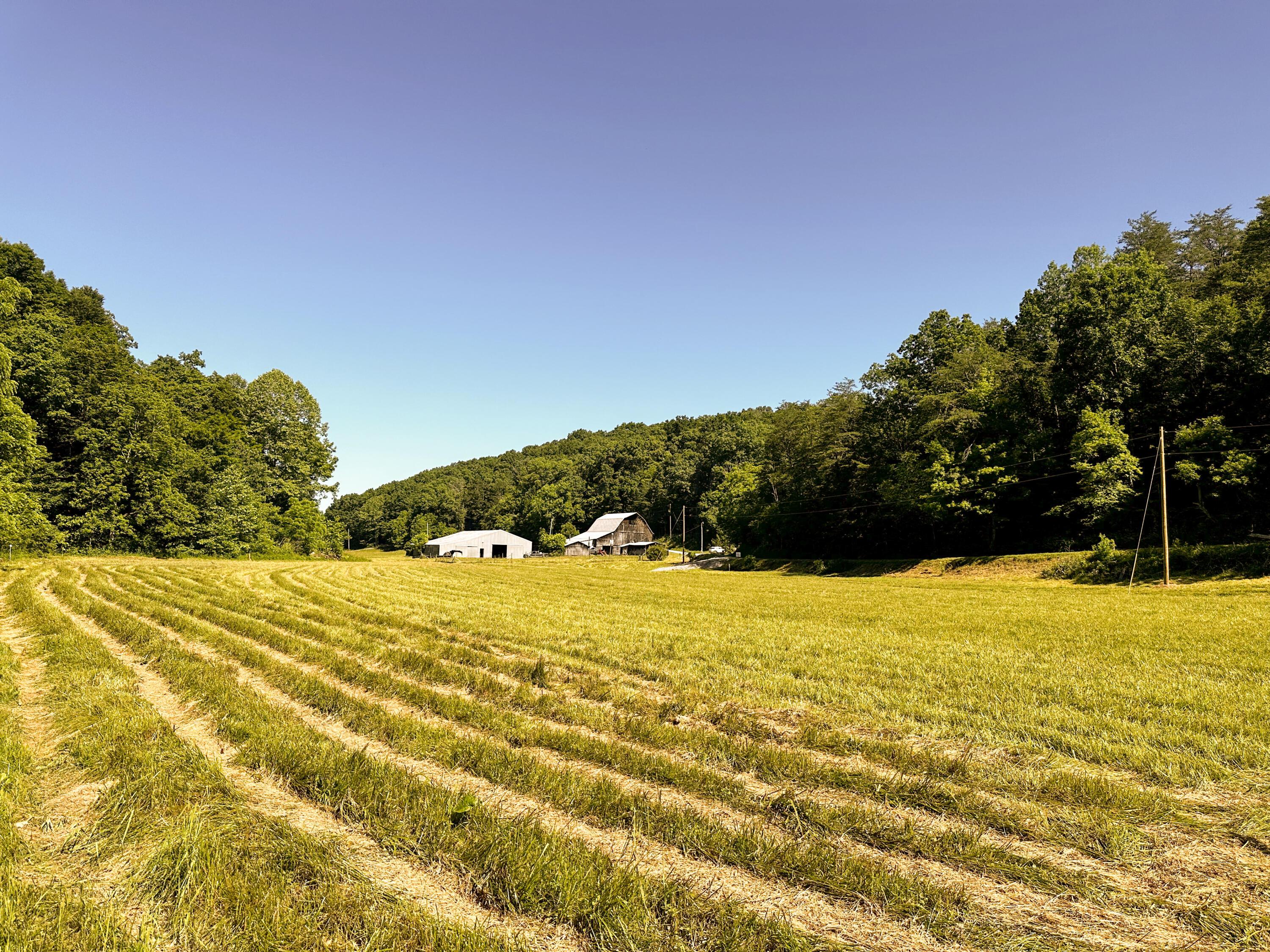 Photo 14 of 45 of 1725 Hull Road (Tract 4 Woods Wayne Forest) land