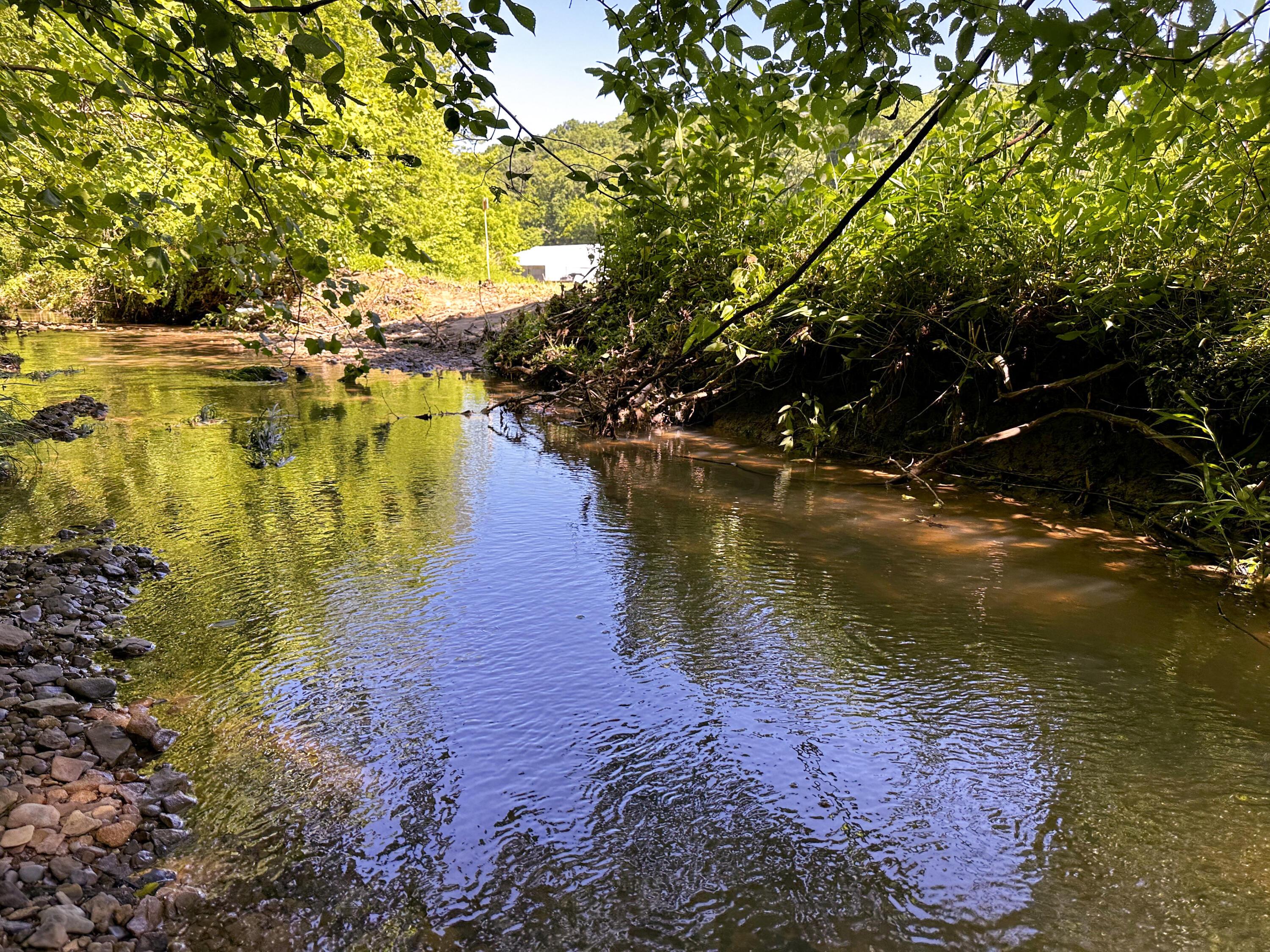 Photo 6 of 45 of 1725 Hull Road (Tract 4 Woods Wayne Forest) land