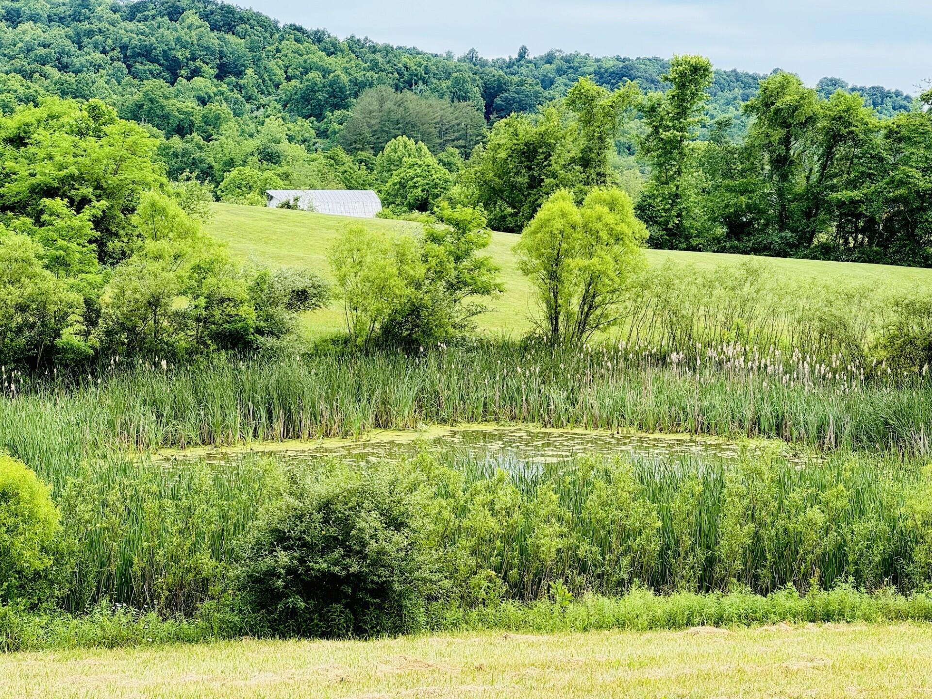 Photo 1 of 16 of 37416 New Lima Road land