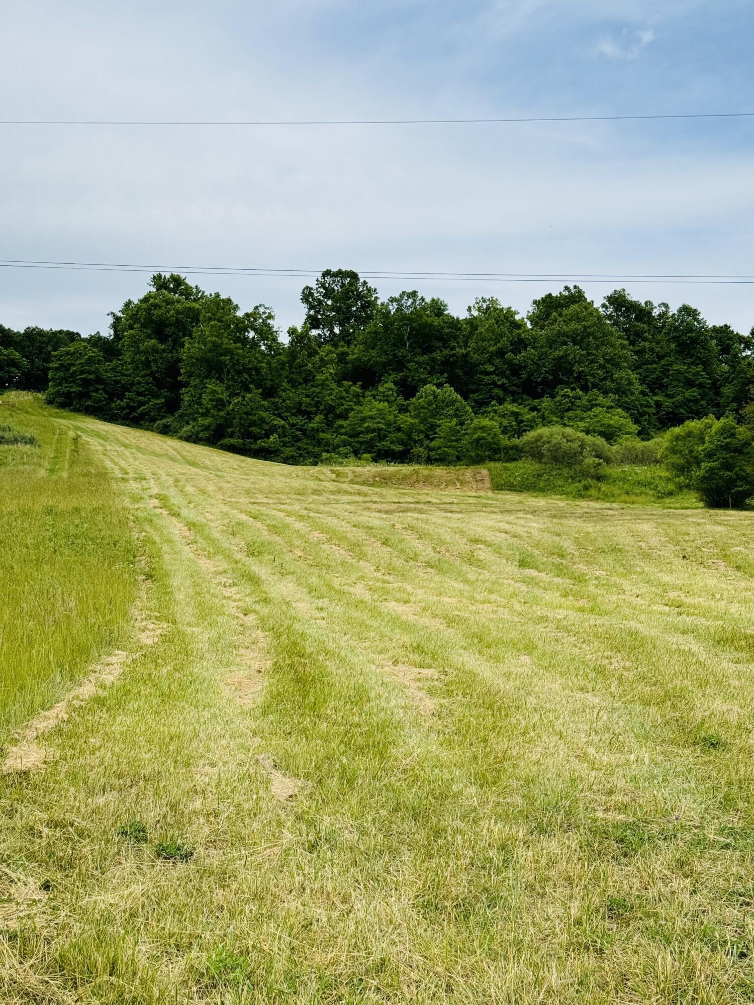 Photo 4 of 16 of 37416 New Lima Road land