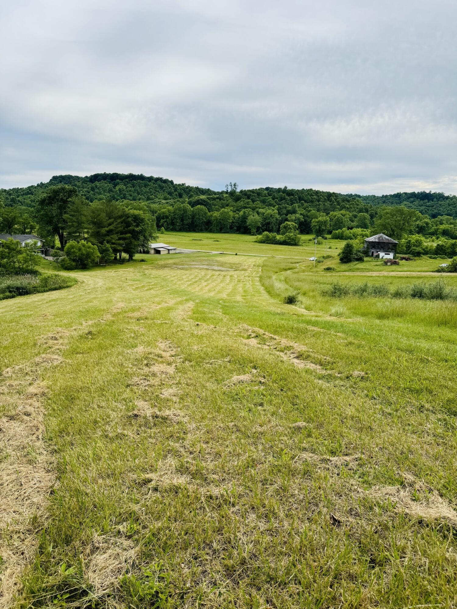 Photo 5 of 16 of 37416 New Lima Road land