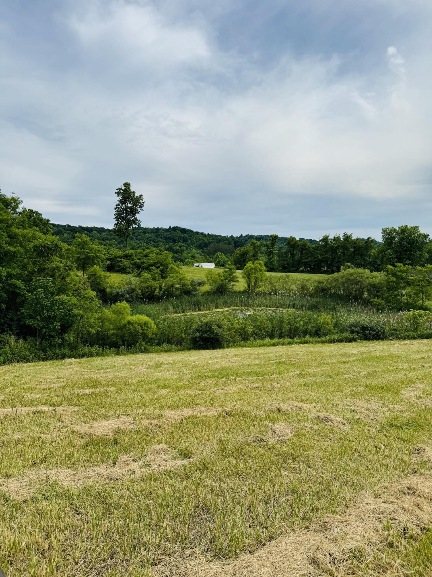 Photo 7 of 16 of 37416 New Lima Road land