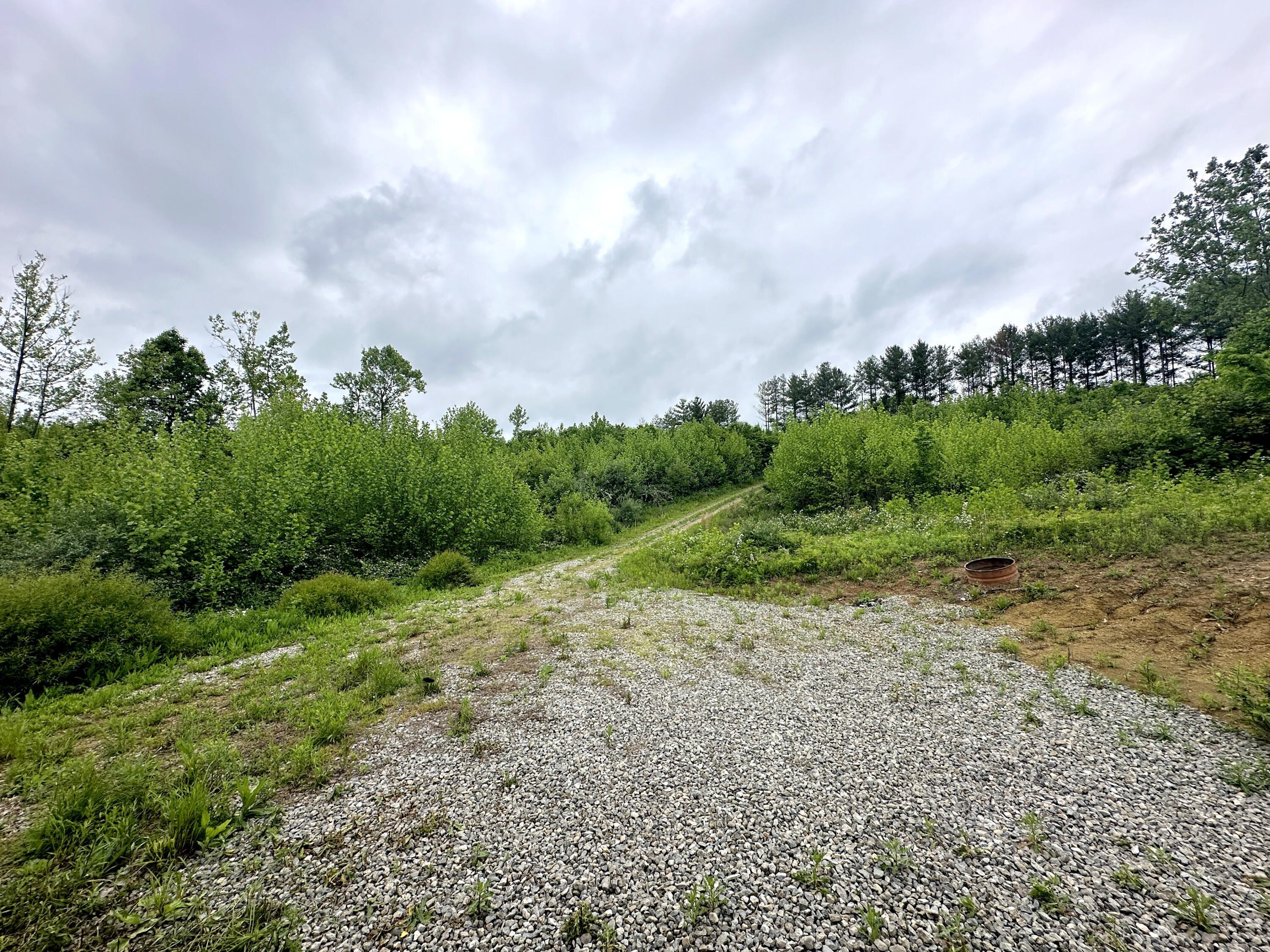 Photo 29 of 29 of 31166 Edmundson Road land