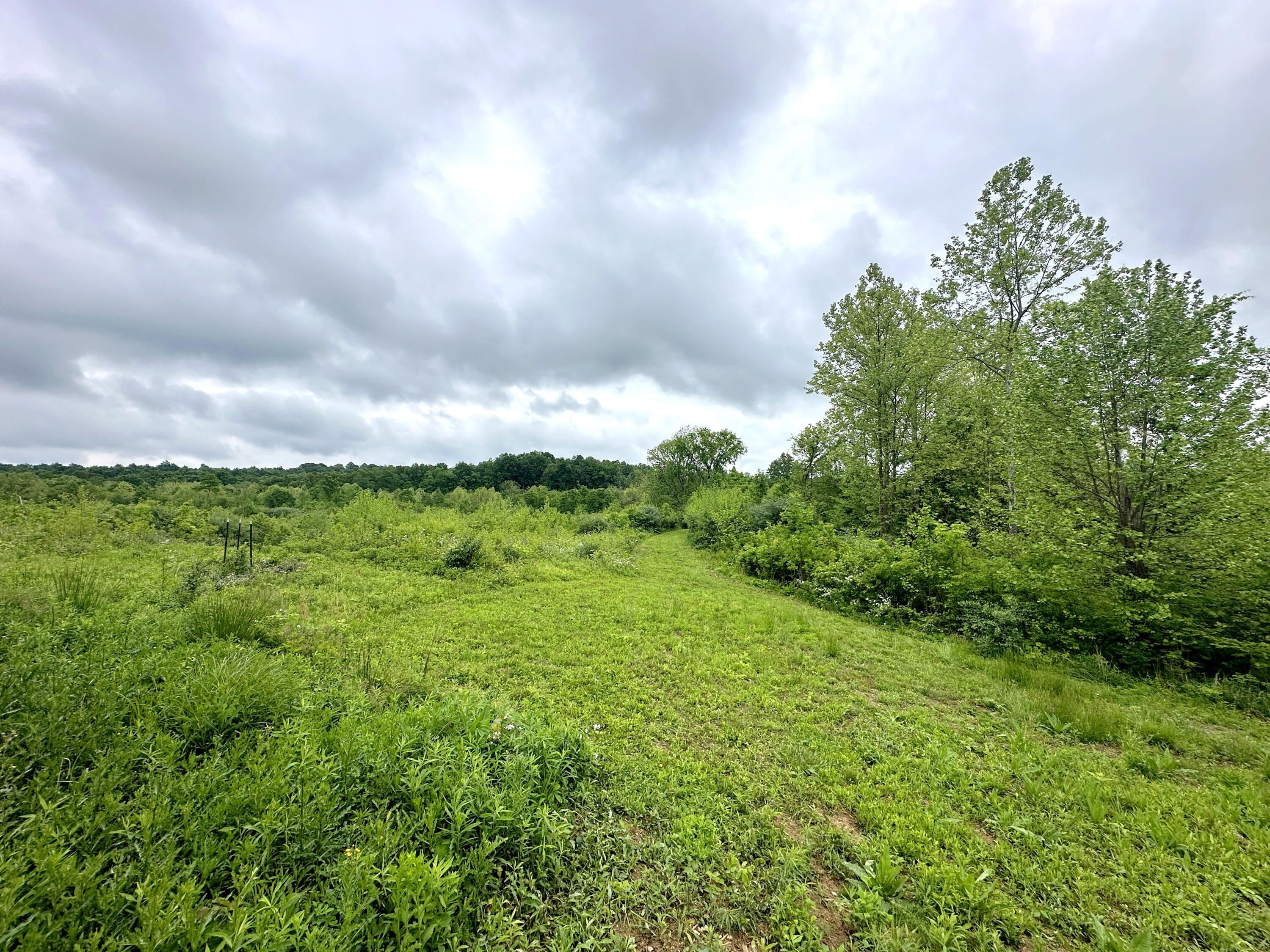 Photo 3 of 29 of 31166 Edmundson Road land