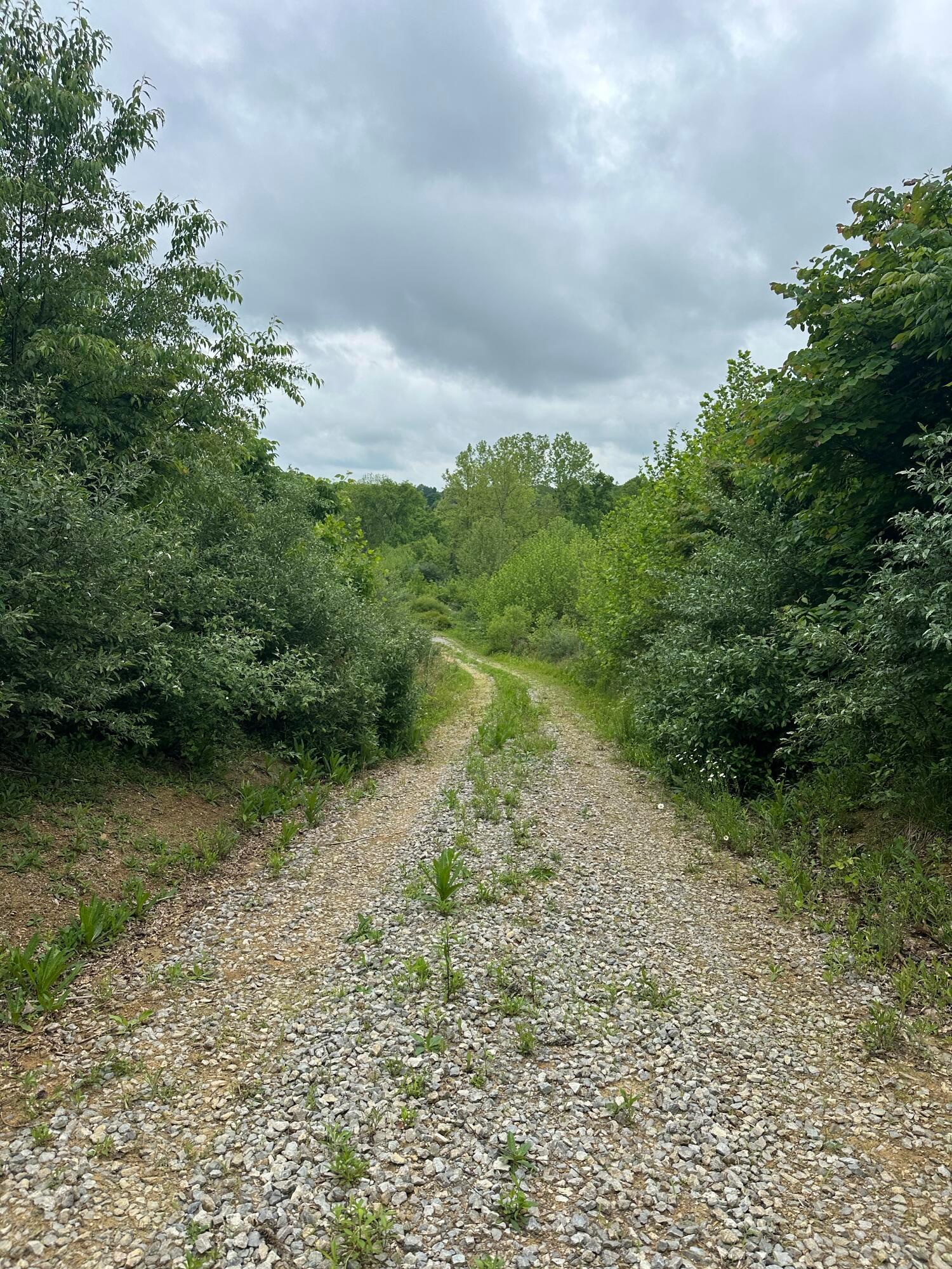 Photo 4 of 29 of 31166 Edmundson Road land