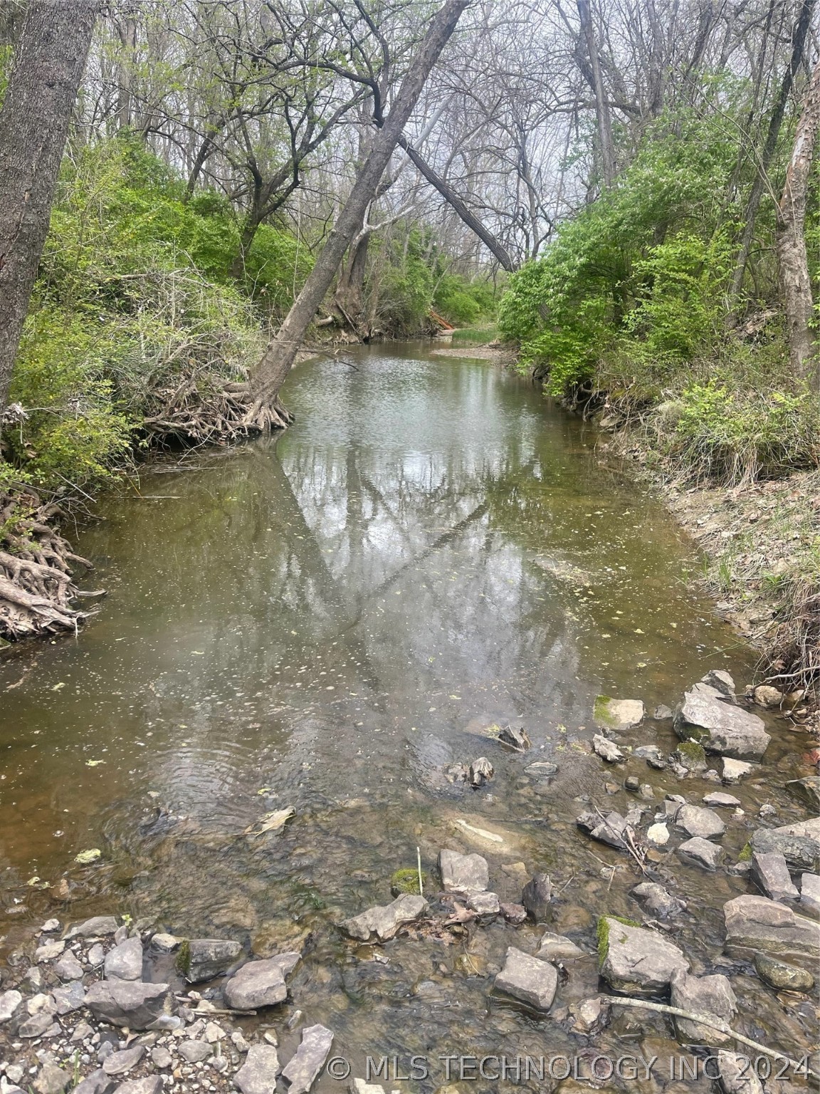 Photo 1 of 8 of County Road 1561 land