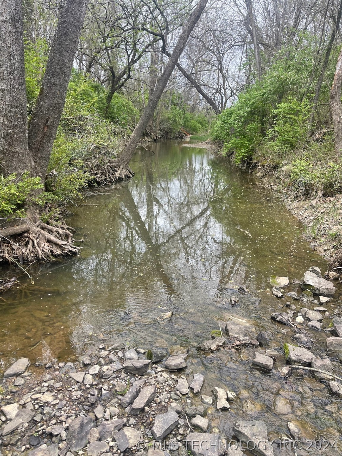 Photo 5 of 8 of County Road 1561 land