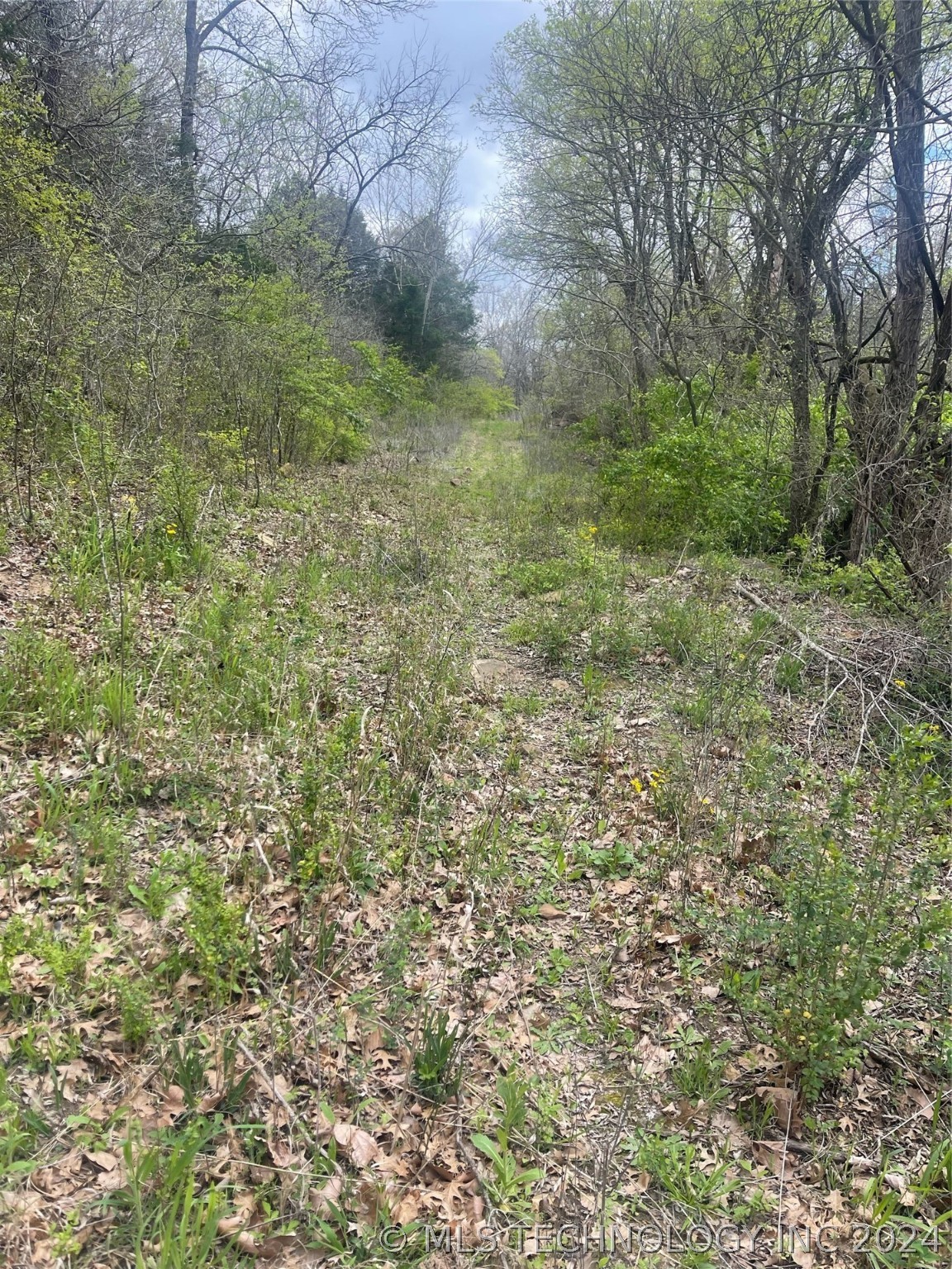 Photo 7 of 8 of County Road 1561 land