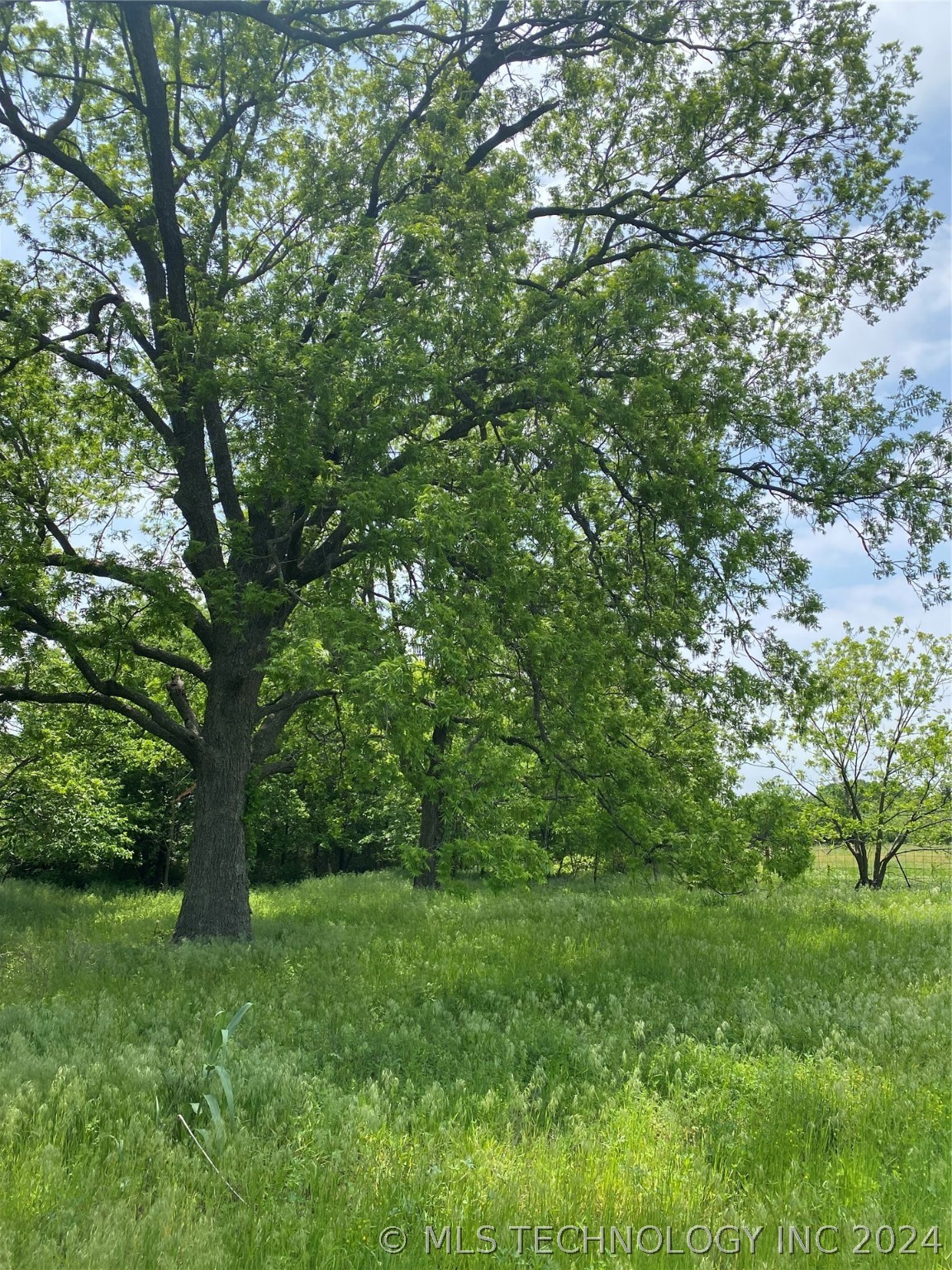 Photo 4 of 12 of 39744 State Highway 59 Road land