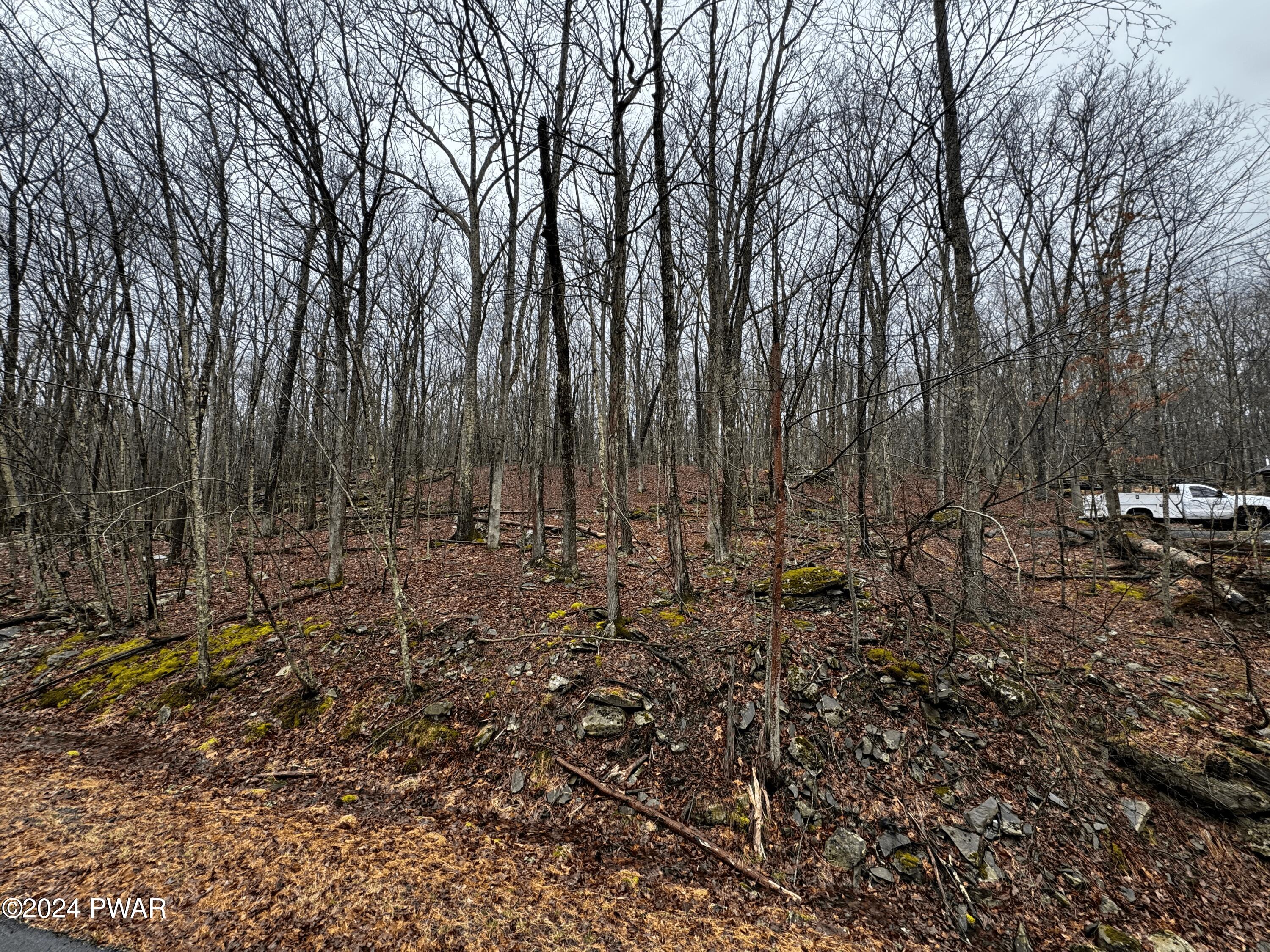 Photo 3 of 23 of 146 Liberty Lane land