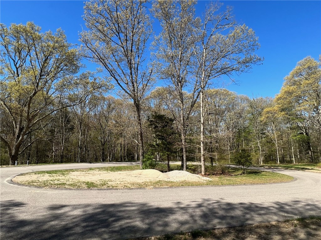 Photo 7 of 7 of 8 Red Maple Drive land