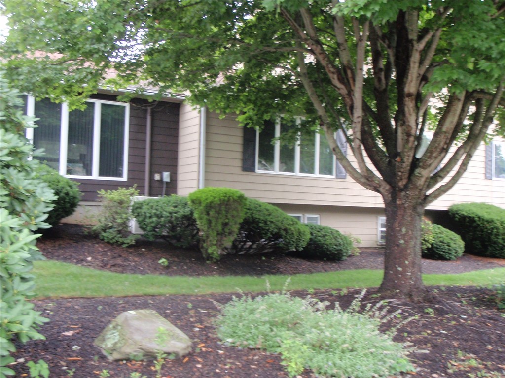 Photo 2 of 3 of 234 Leroy Avenue house