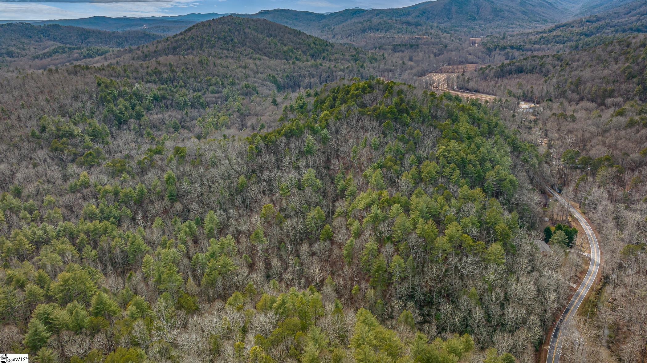 Photo 5 of 10 of 0000 Gap Creek Road land