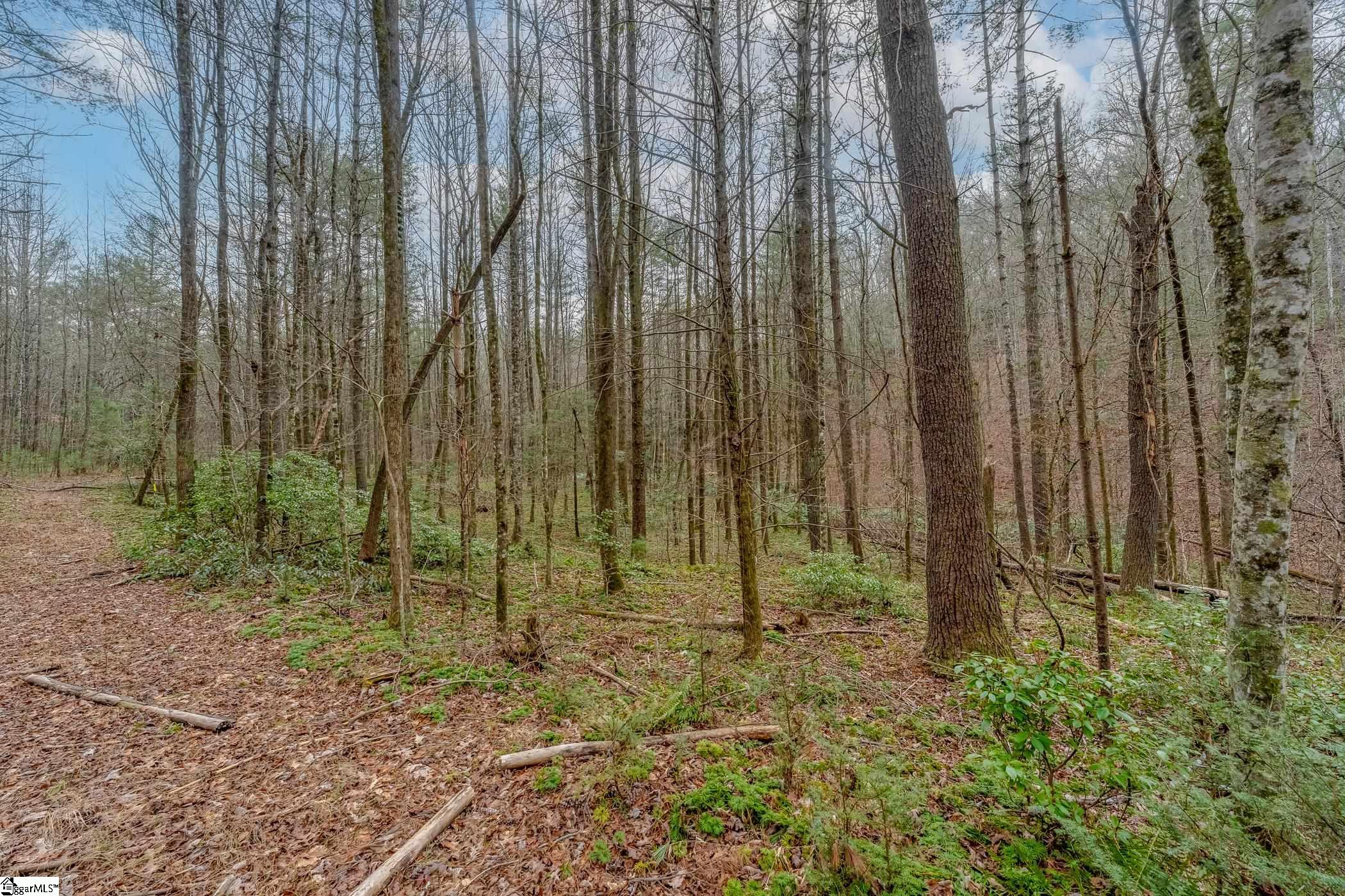 Photo 8 of 10 of 0000 Gap Creek Road land