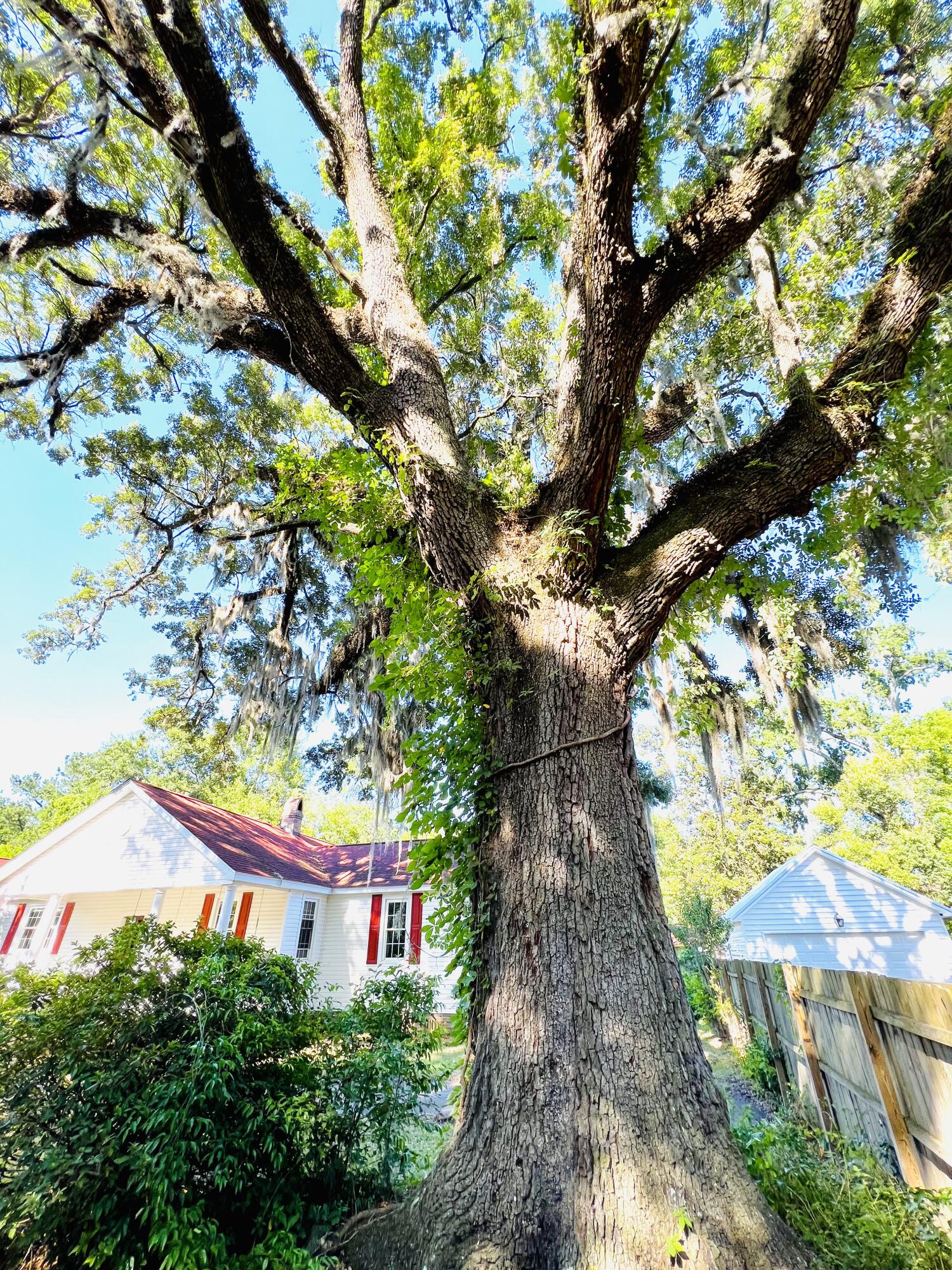 Photo 2 of 19 of 1860 Pinopolis Road house