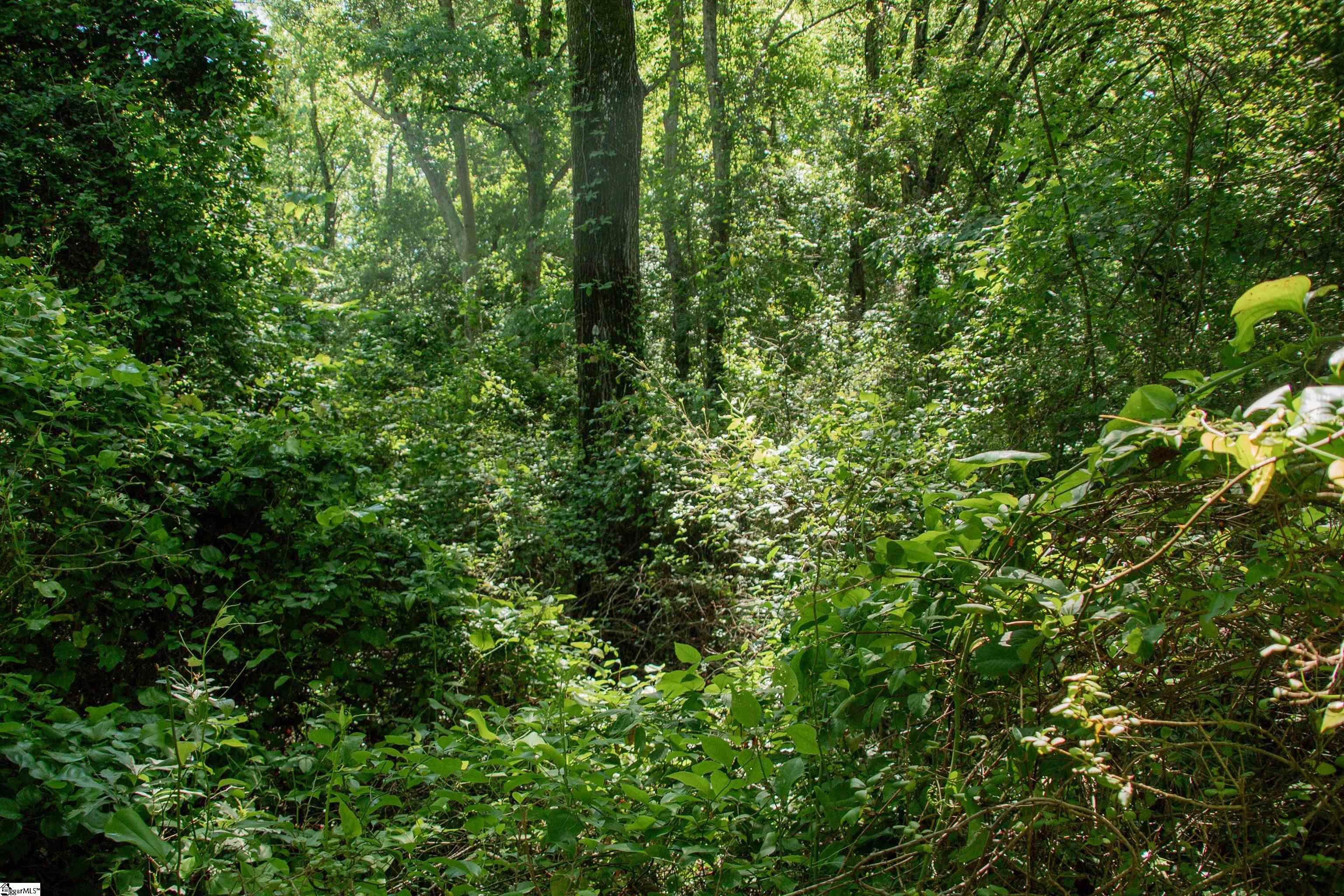 Photo 19 of 22 of 2739 E Georgia Road land