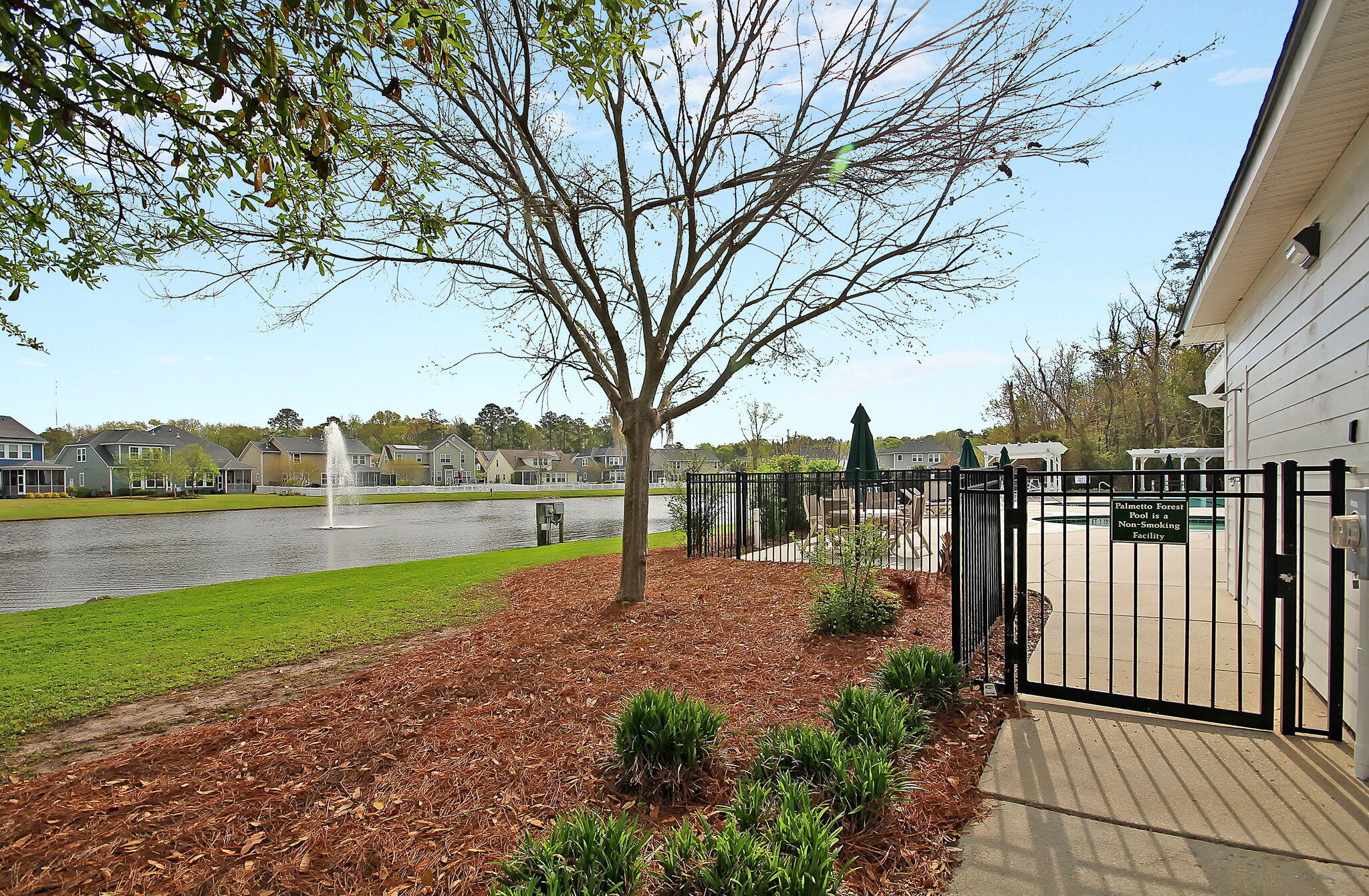 Photo 65 of 76 of 180 Silver Cypress Circle house