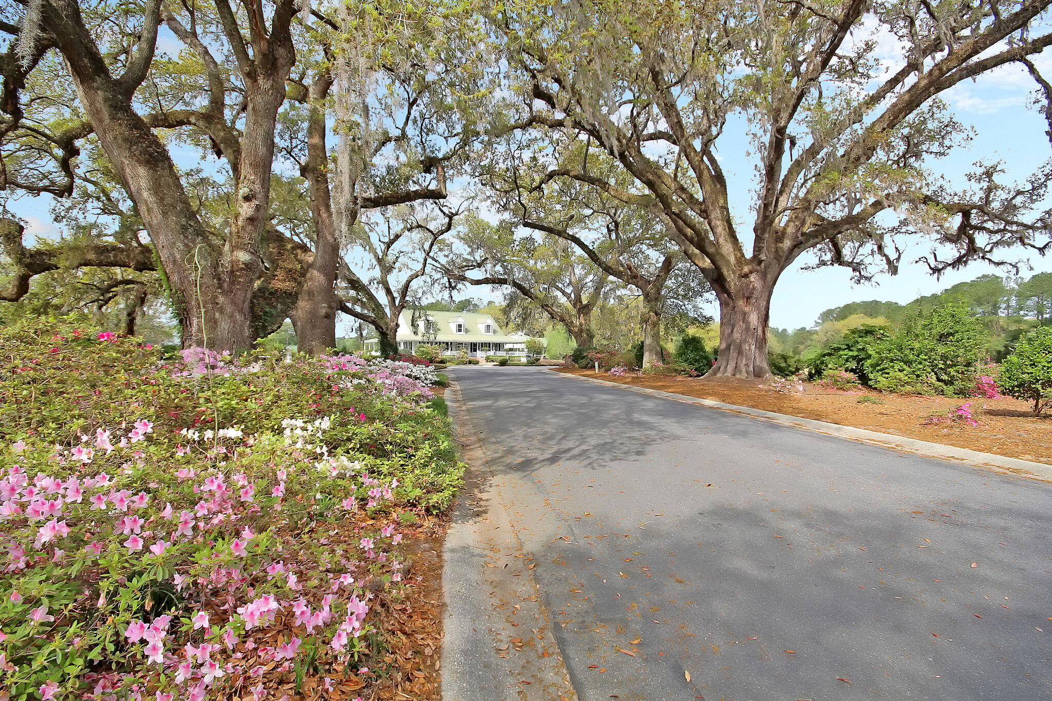 Photo 71 of 76 of 180 Silver Cypress Circle house