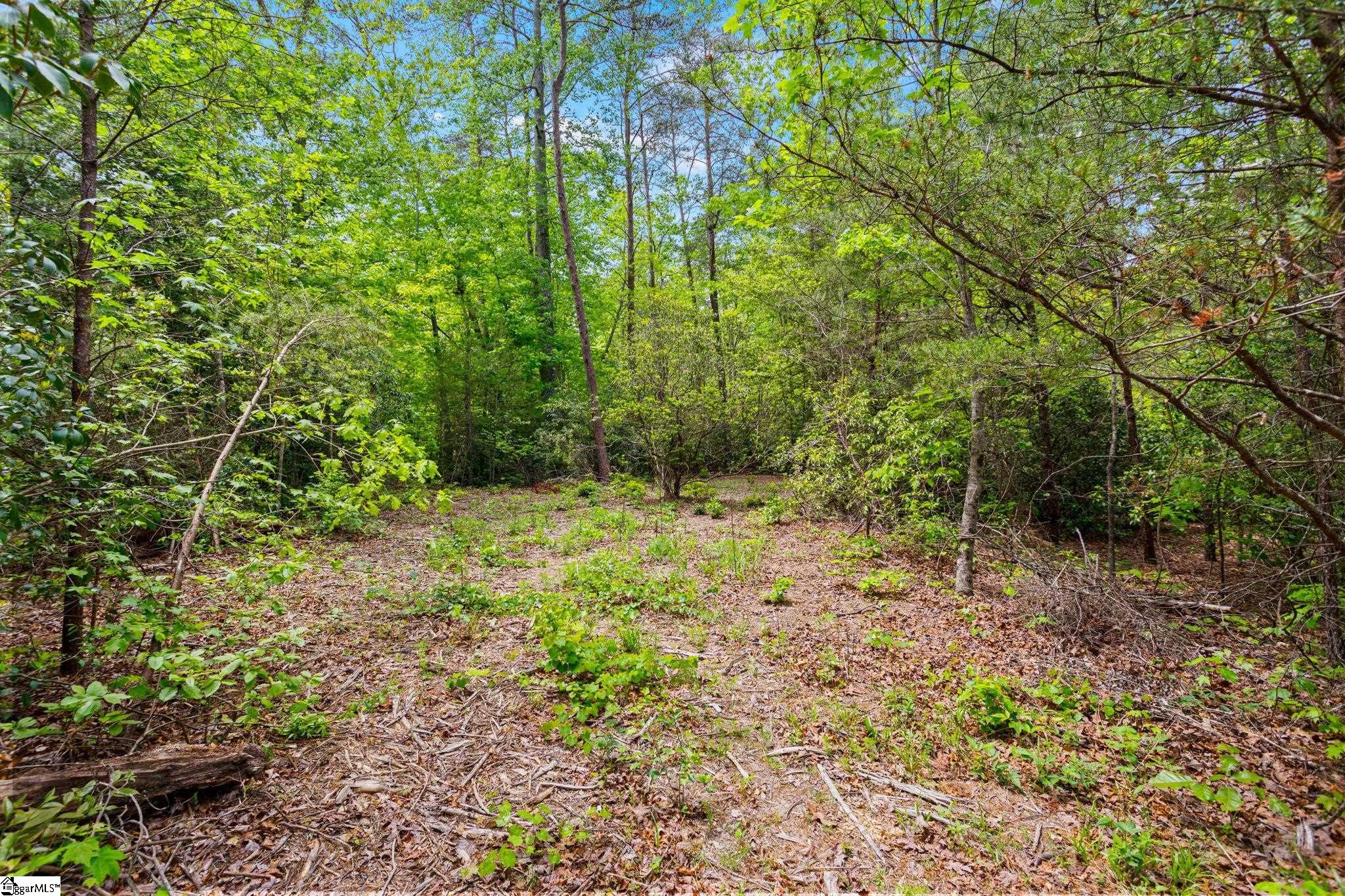 Photo 8 of 11 of 108 Valley Lake Trail land