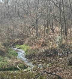 Photo 1 of 15 of 1887 Tobacco Port Rd land