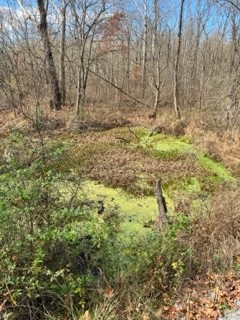 Photo 10 of 15 of 1887 Tobacco Port Rd land