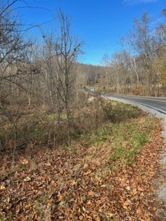 Photo 11 of 15 of 1887 Tobacco Port Rd land