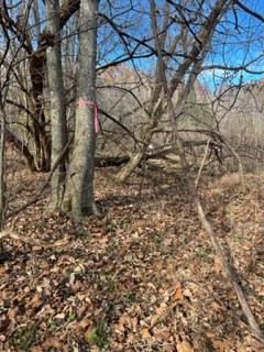 Photo 8 of 15 of 1887 Tobacco Port Rd land