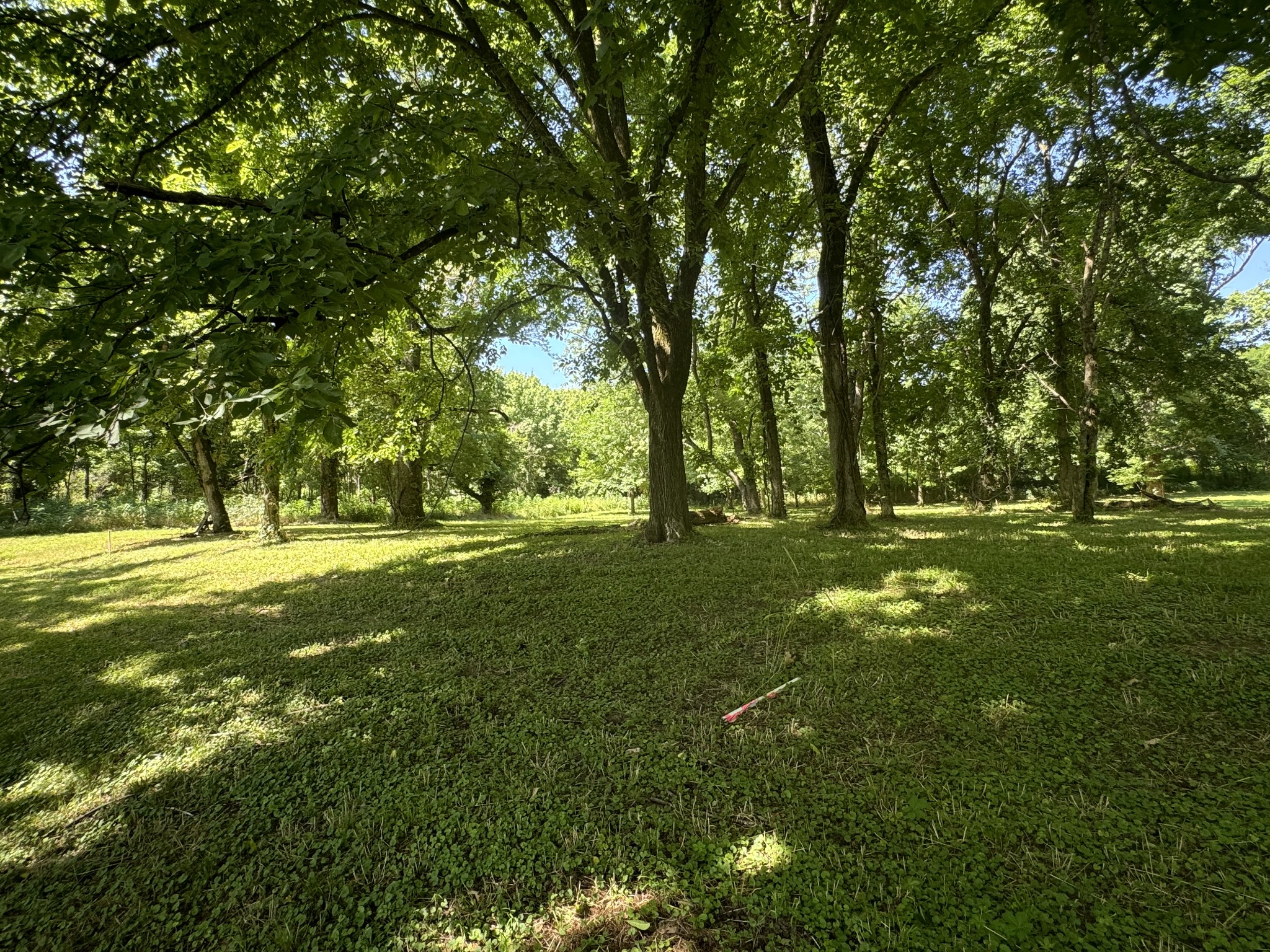 Photo 7 of 11 of 0 Sauger Dr land