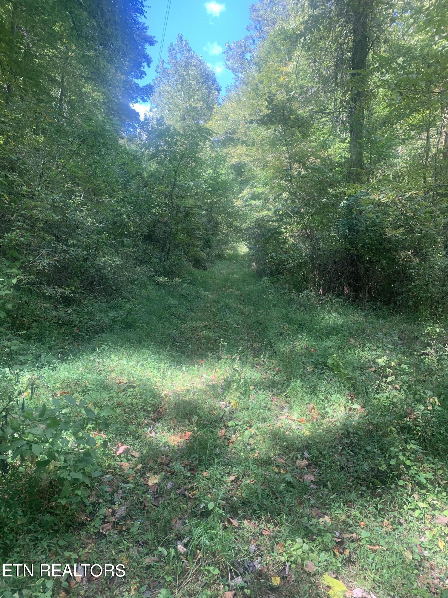 Photo 1 of 5 of Anna Lane land