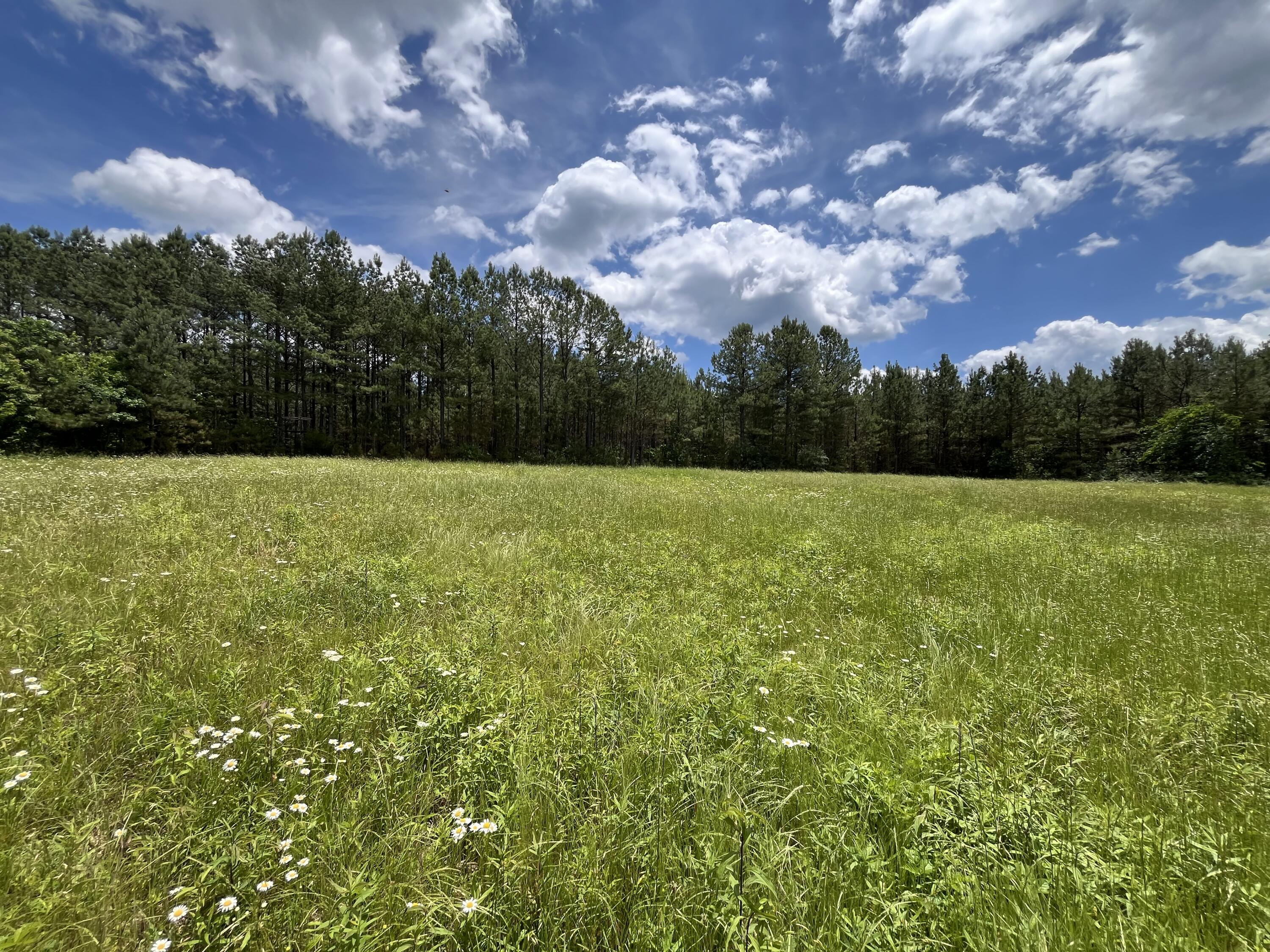 Photo 12 of 31 of 9 Fredonia Rd land