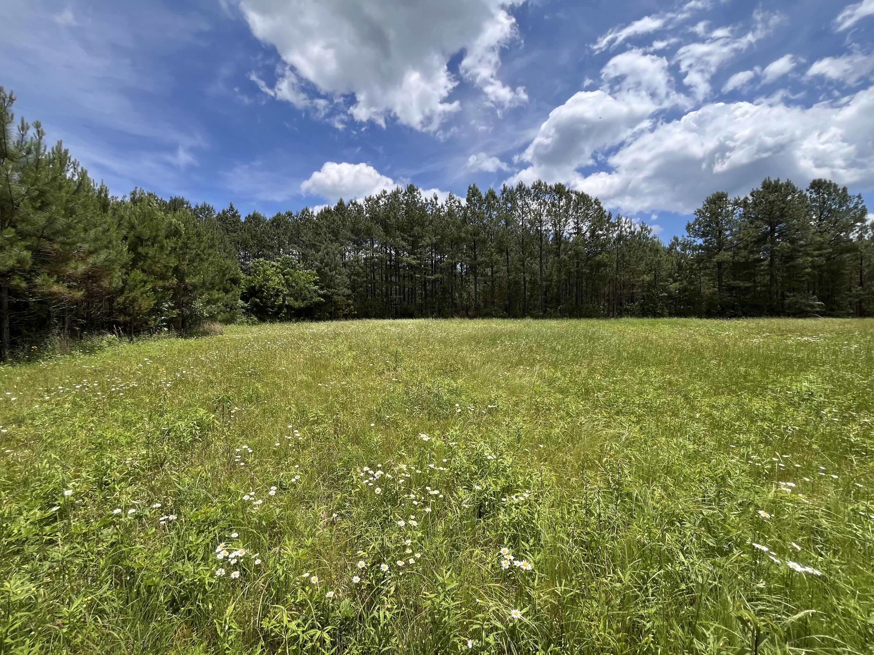 Photo 13 of 31 of 9 Fredonia Rd land